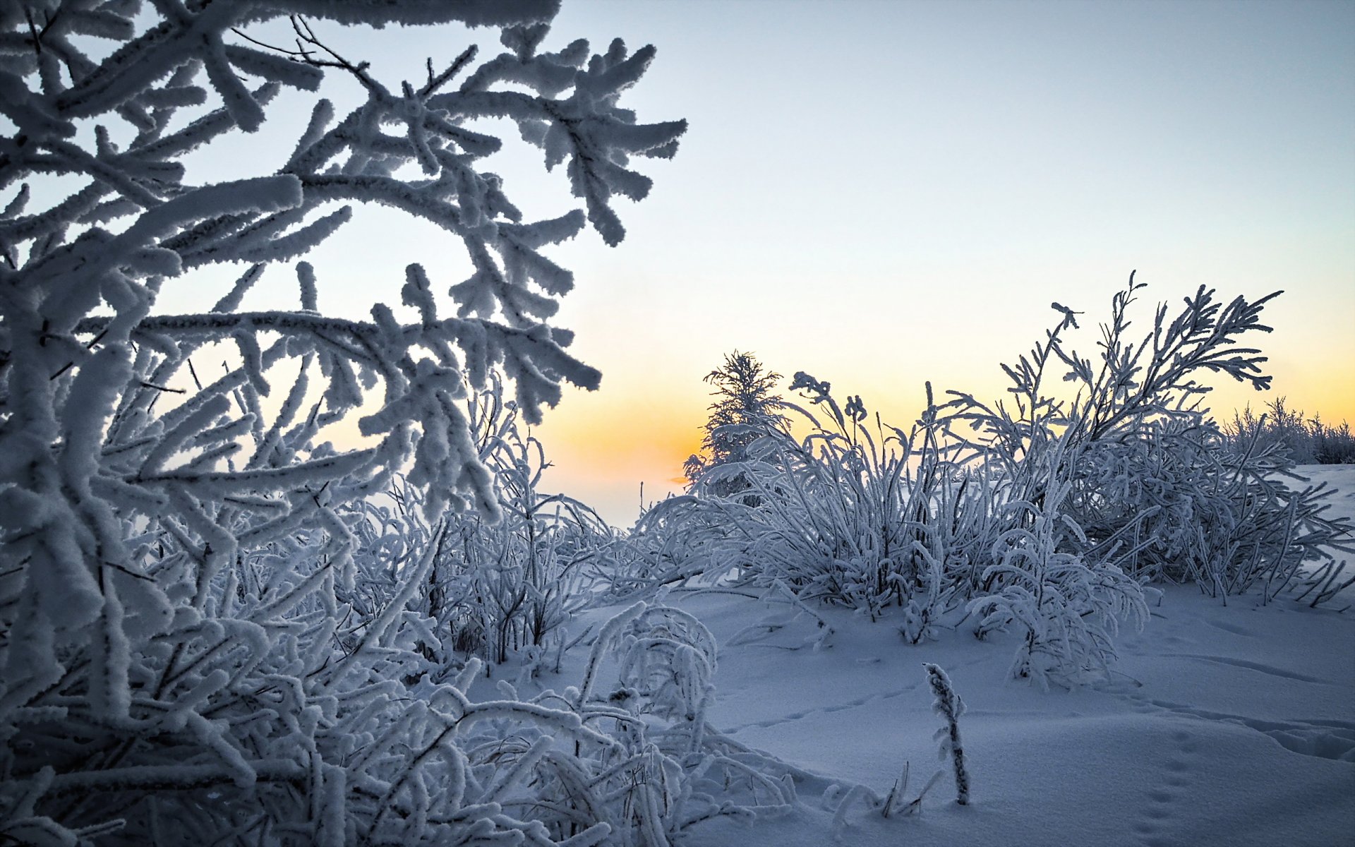 winter snow landscape