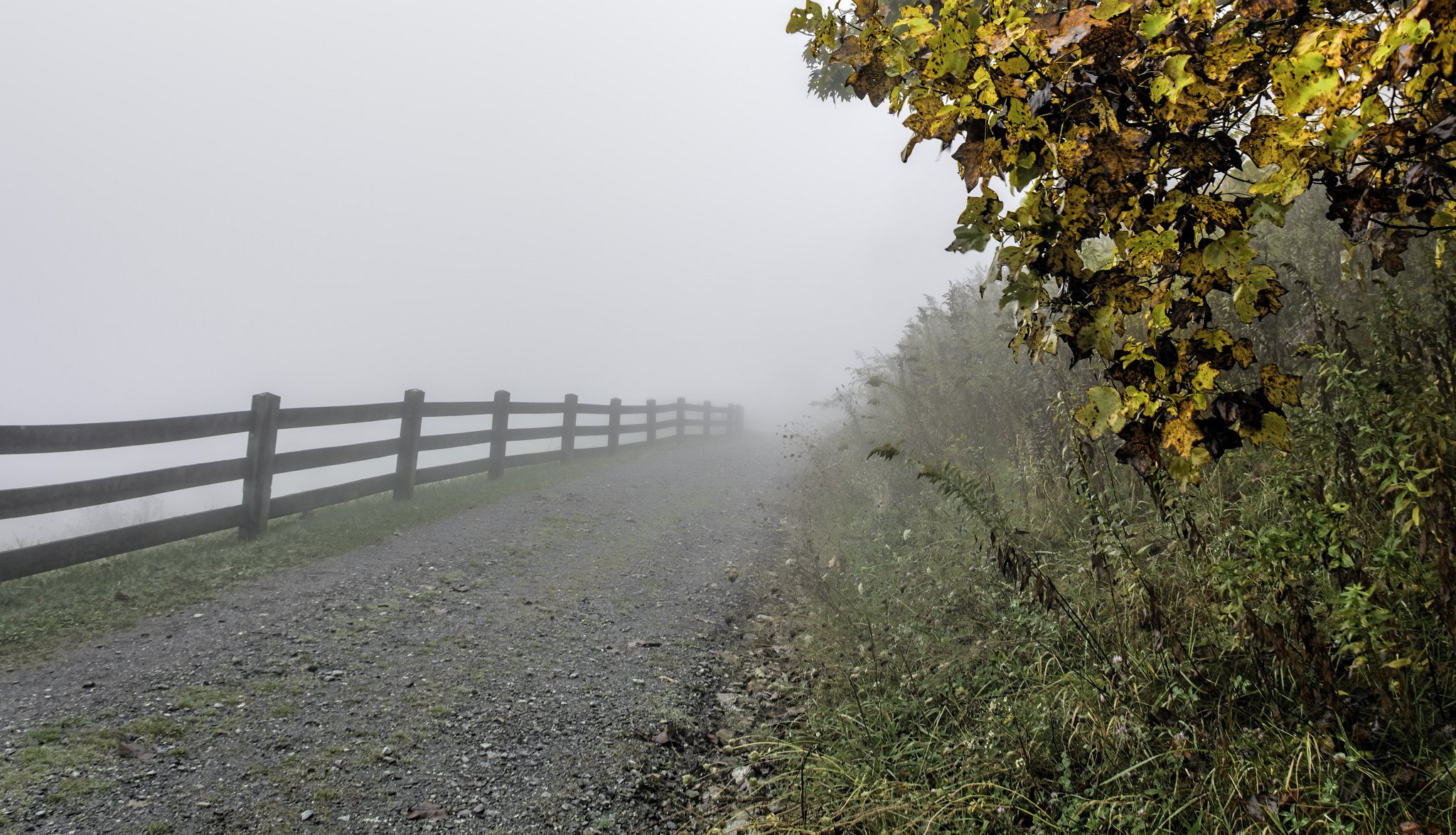 usa north carolina herbst gras bäume blätter fußweg zaun zaun nebel