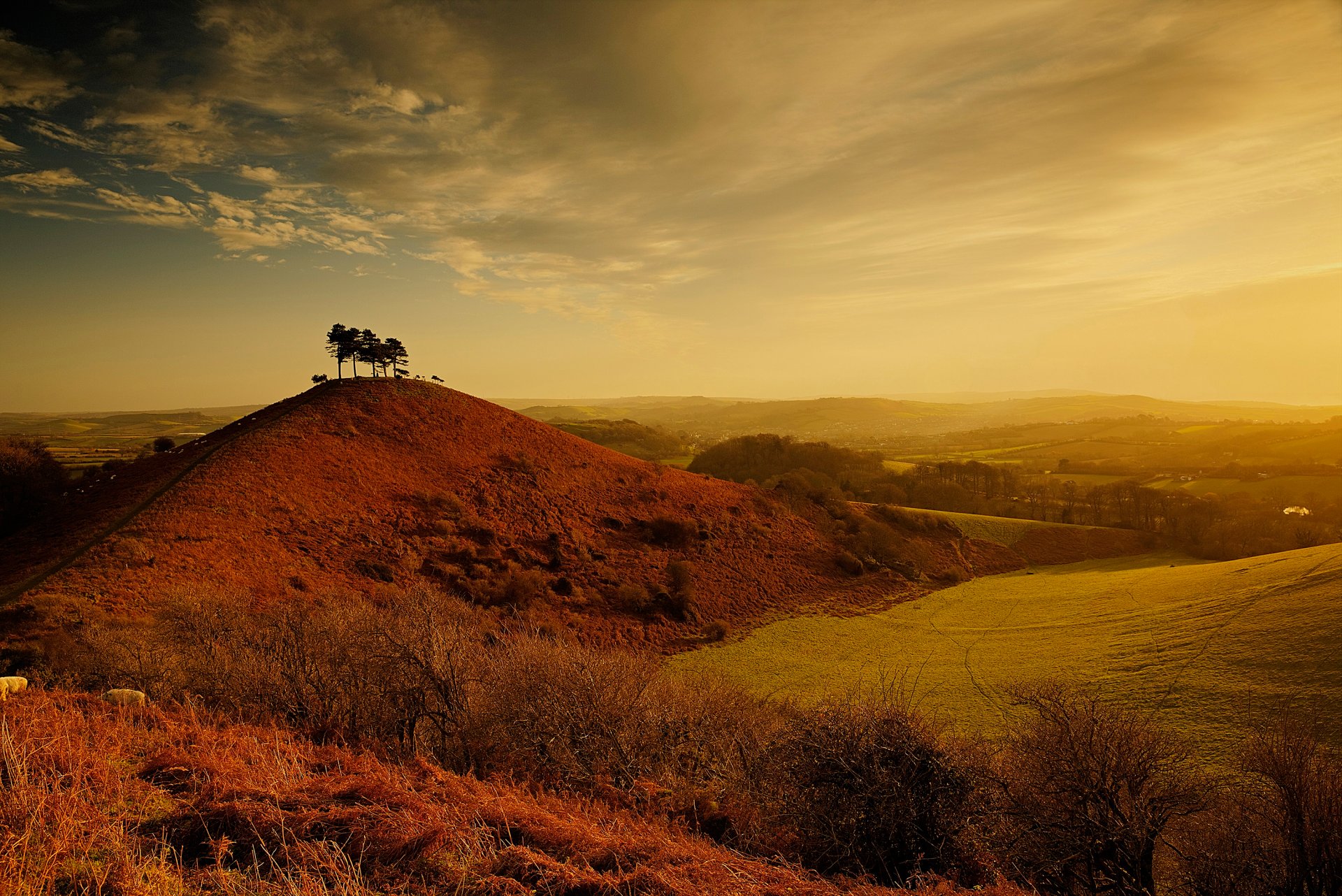 colline paysage nuages arbres