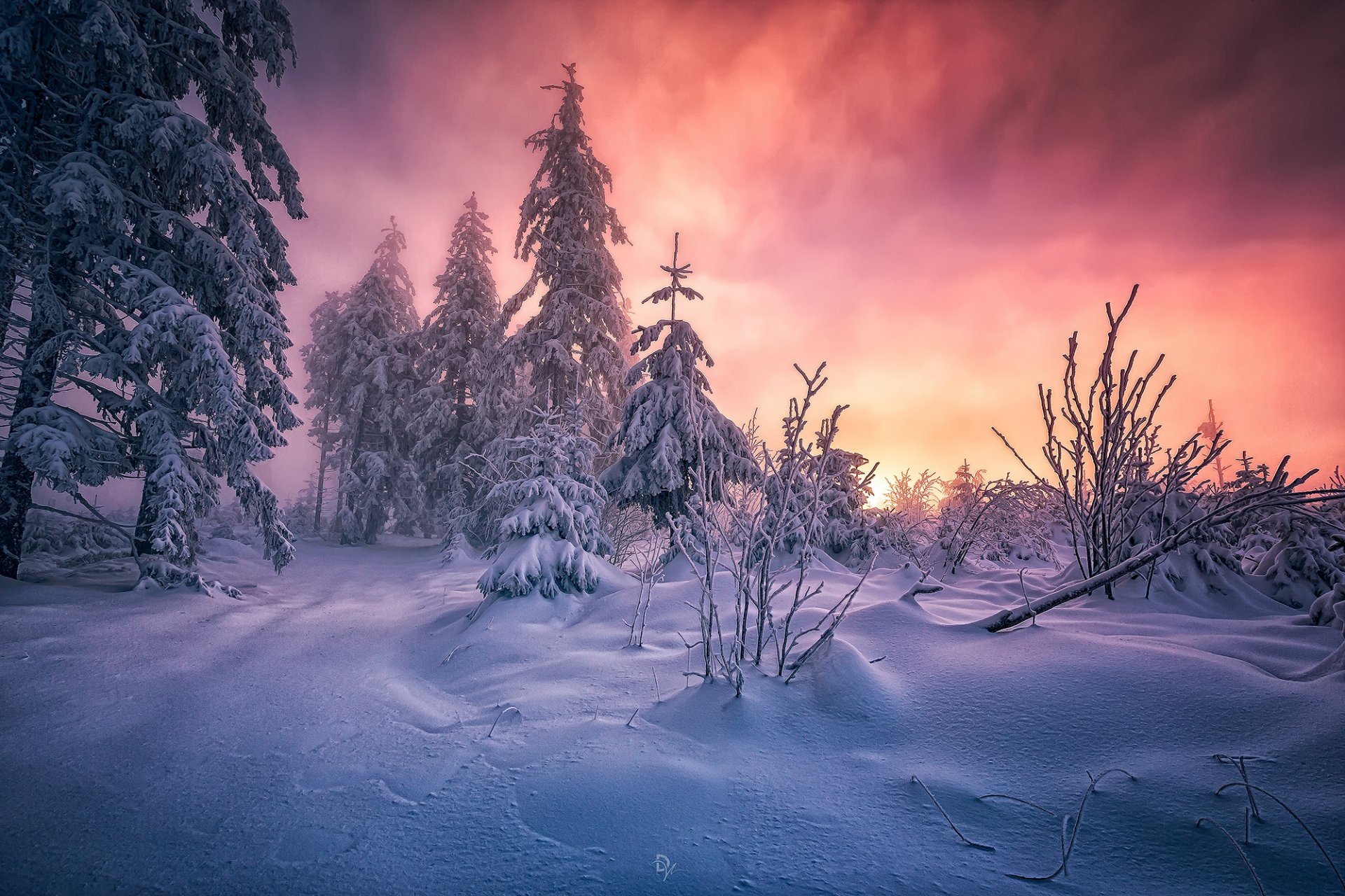 südwesten deutschlands baden-württemberg schwarzwald schnee wald morgen