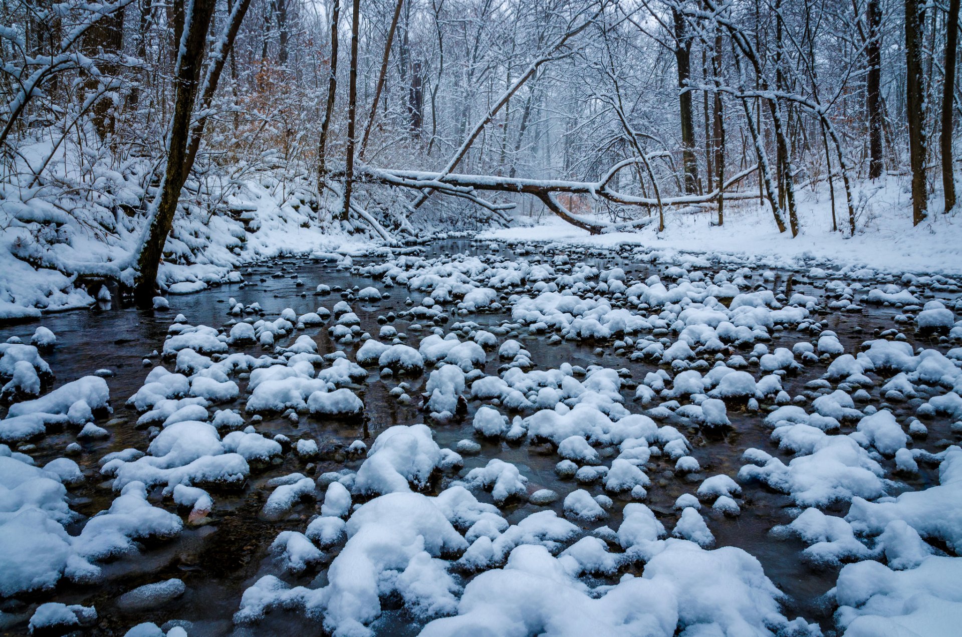 winton woods cincinnati ohio bosque invierno nieve río árboles