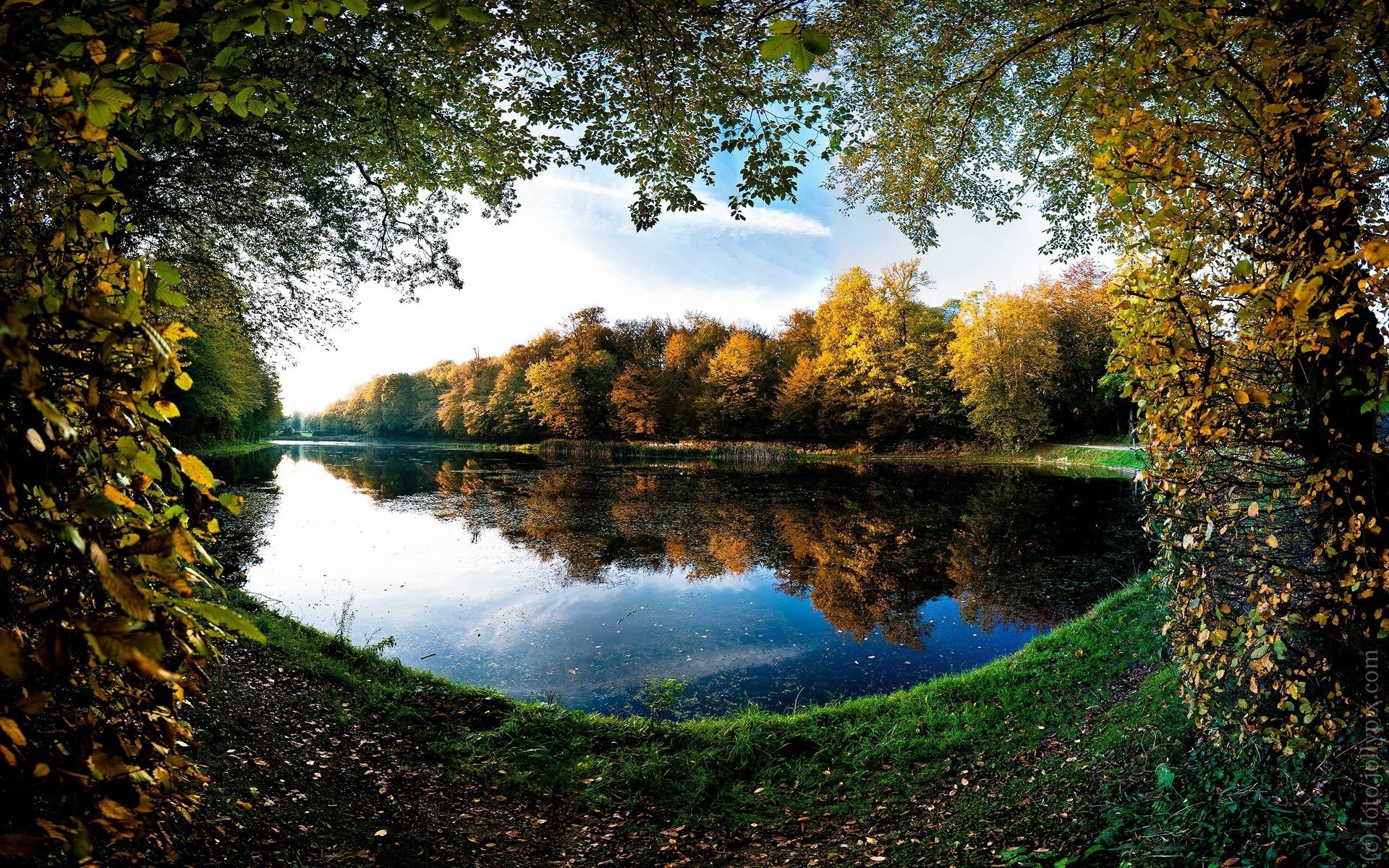 lago messa a fuoco autunno lago della foresta carta da parati