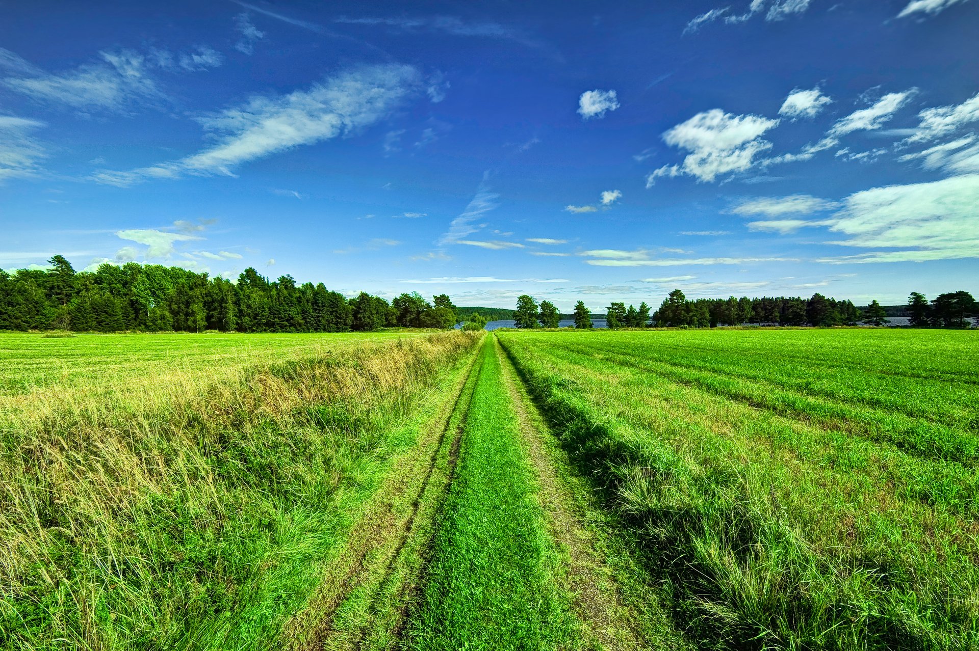 himmel wolken bäume feld straße