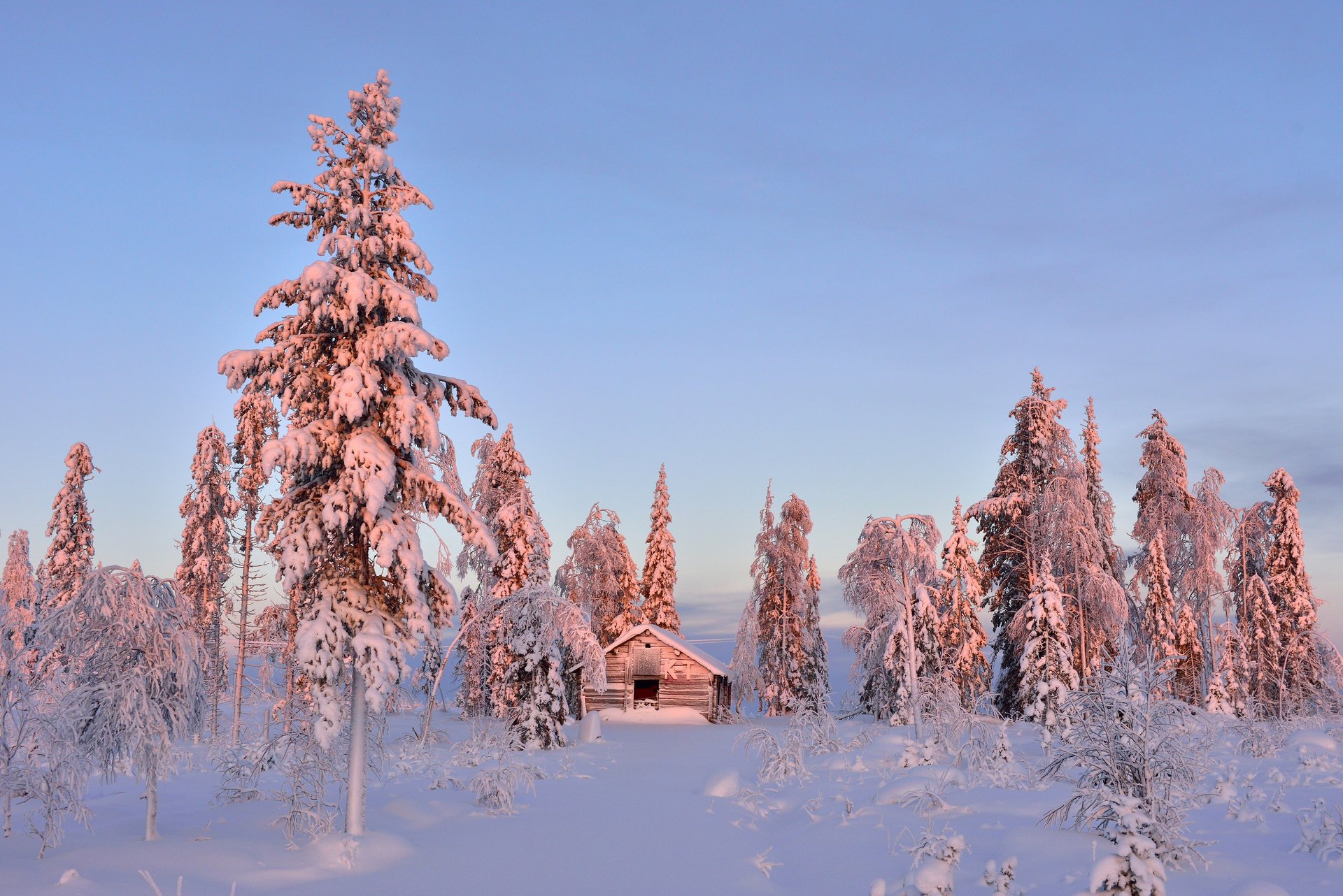 alberi neve fienile inverno illuminazione