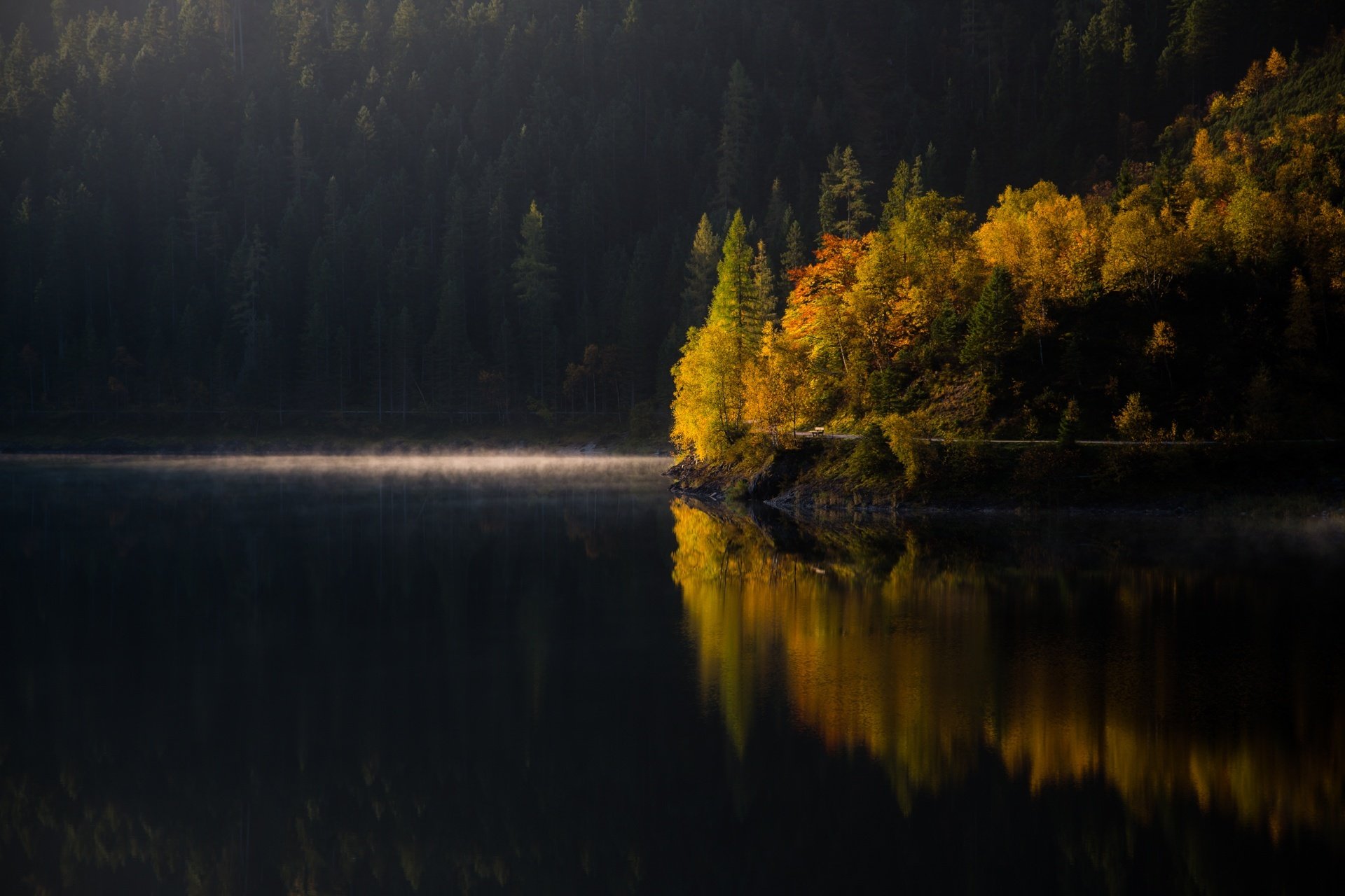 lago bosque árboles mañana otoño