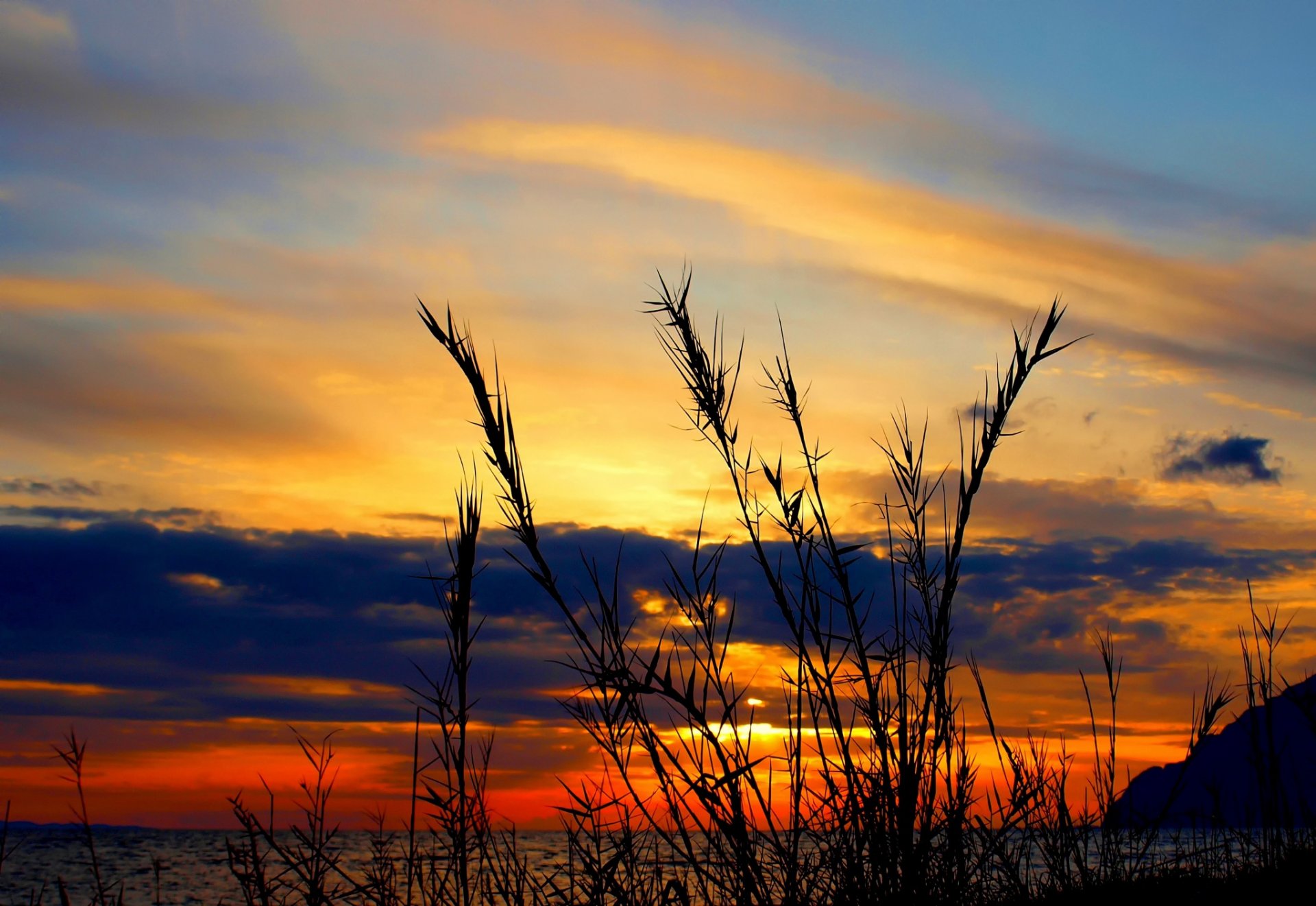 coucher de soleil vagues herbe nuages