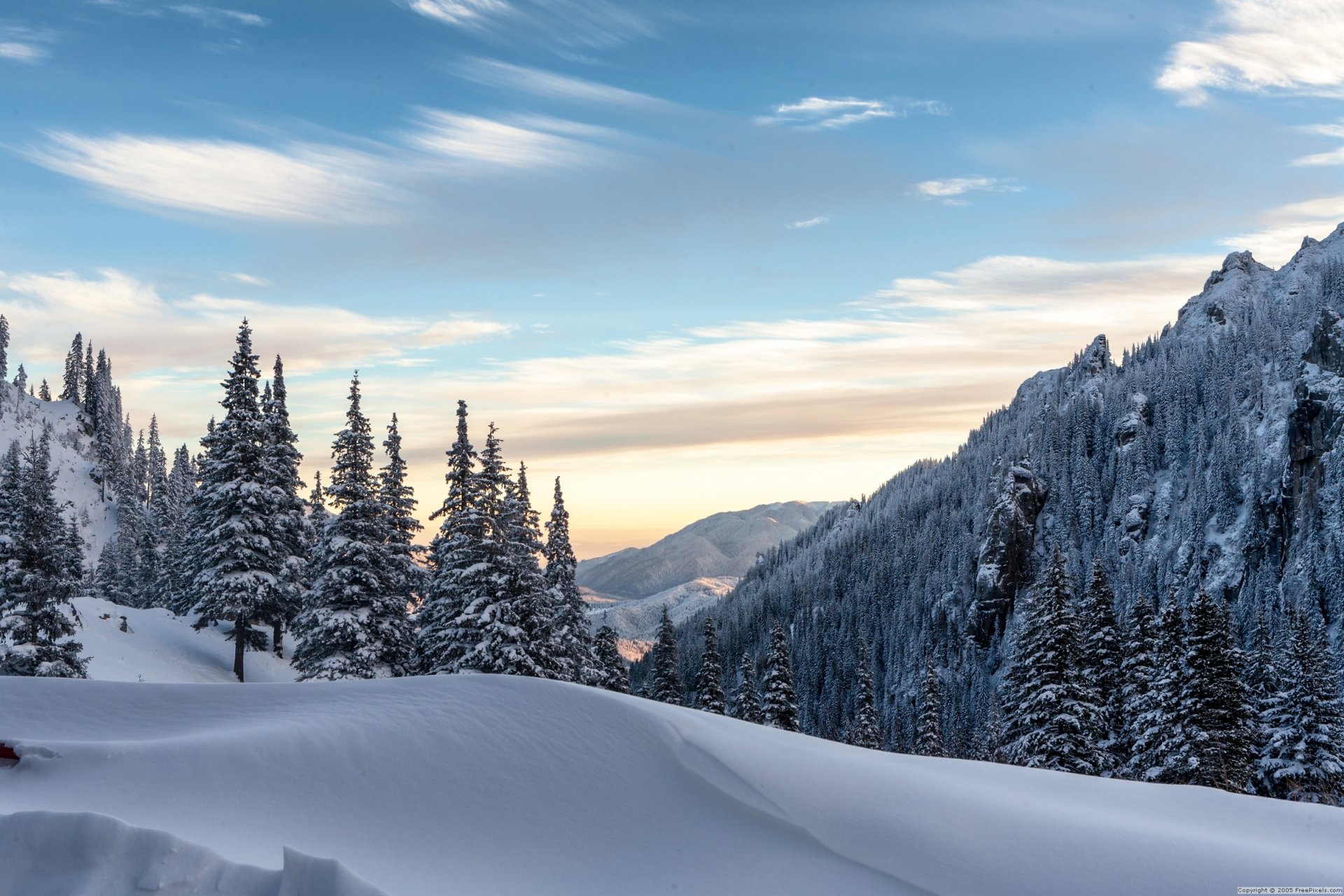 inverno foresta colline neve