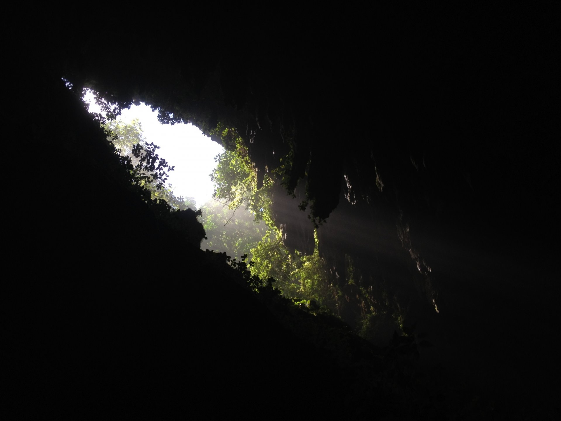 dark valley cave hole green