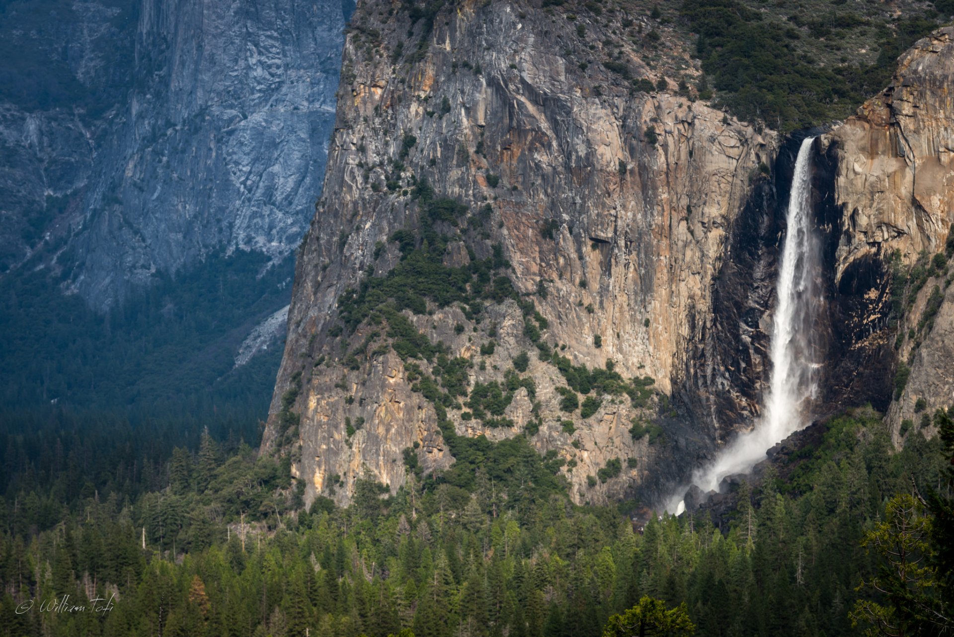 bridalveil falls forest mountain yosemite united states yosemite national park