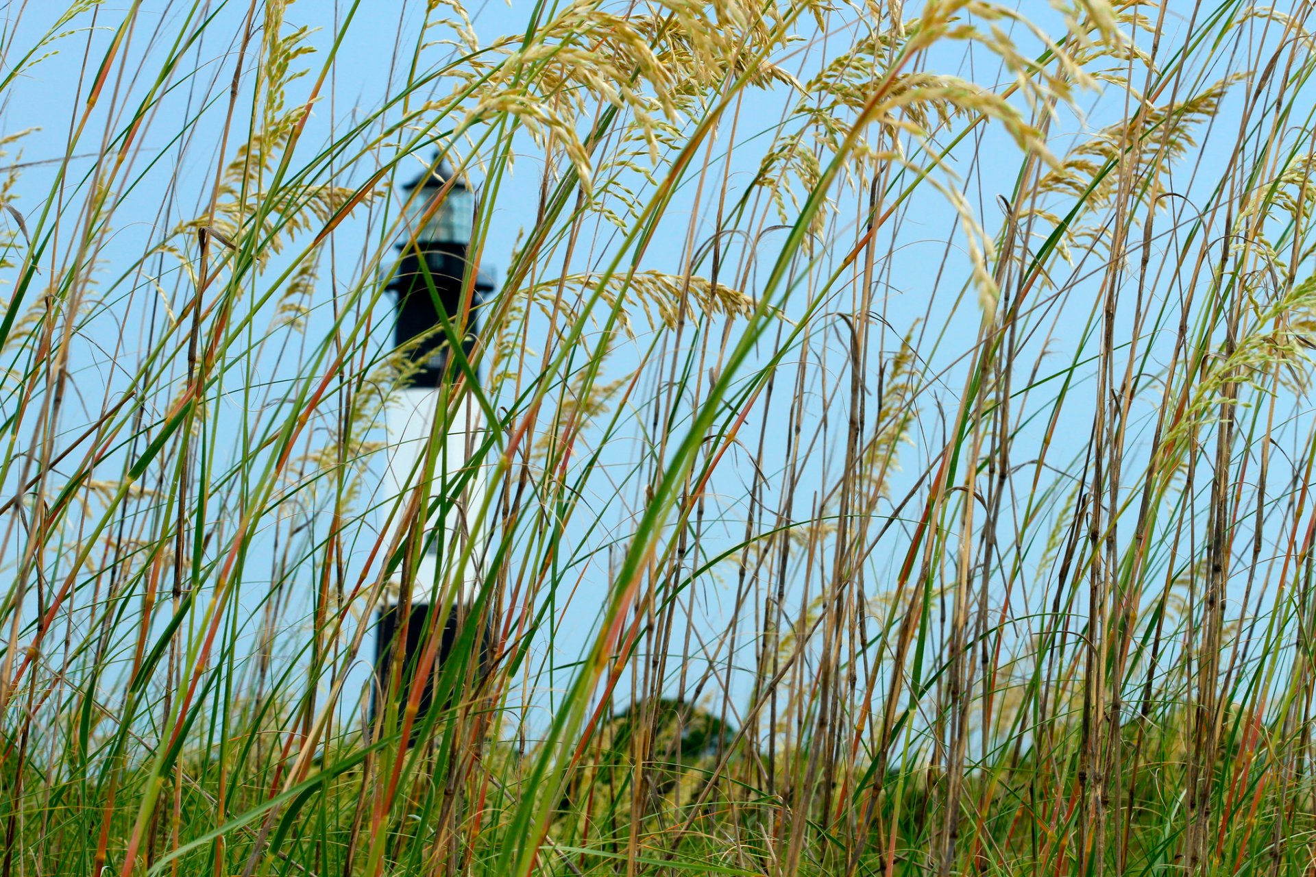 gras himmel leuchtturm