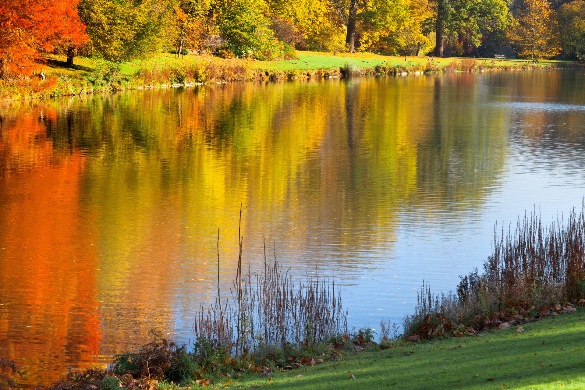 autumn park colorful trees trees lake nature landscape beautiful scene reflection