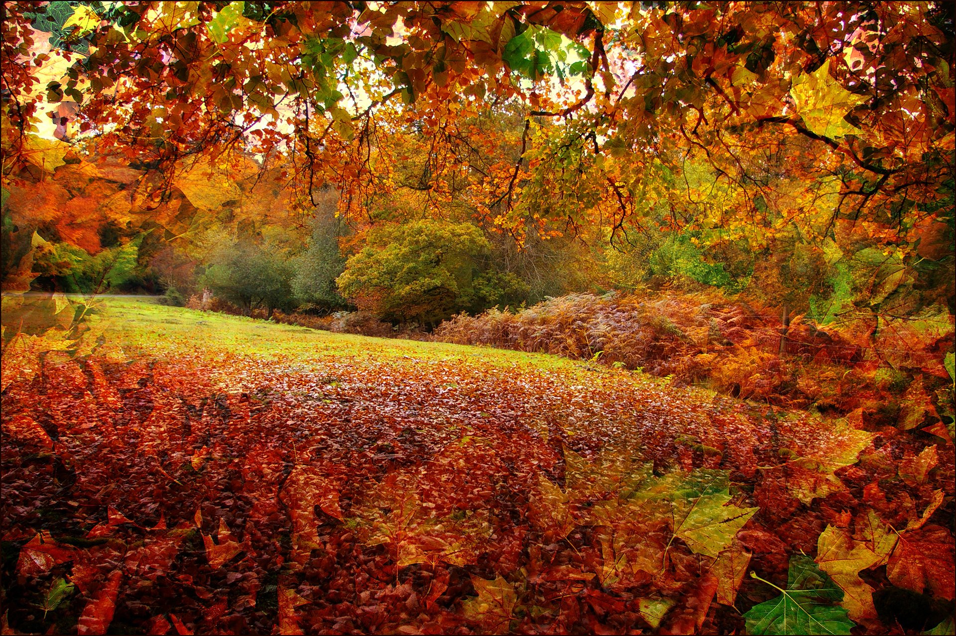 new forest hampshire england autumn forest leaves tree collage rendering