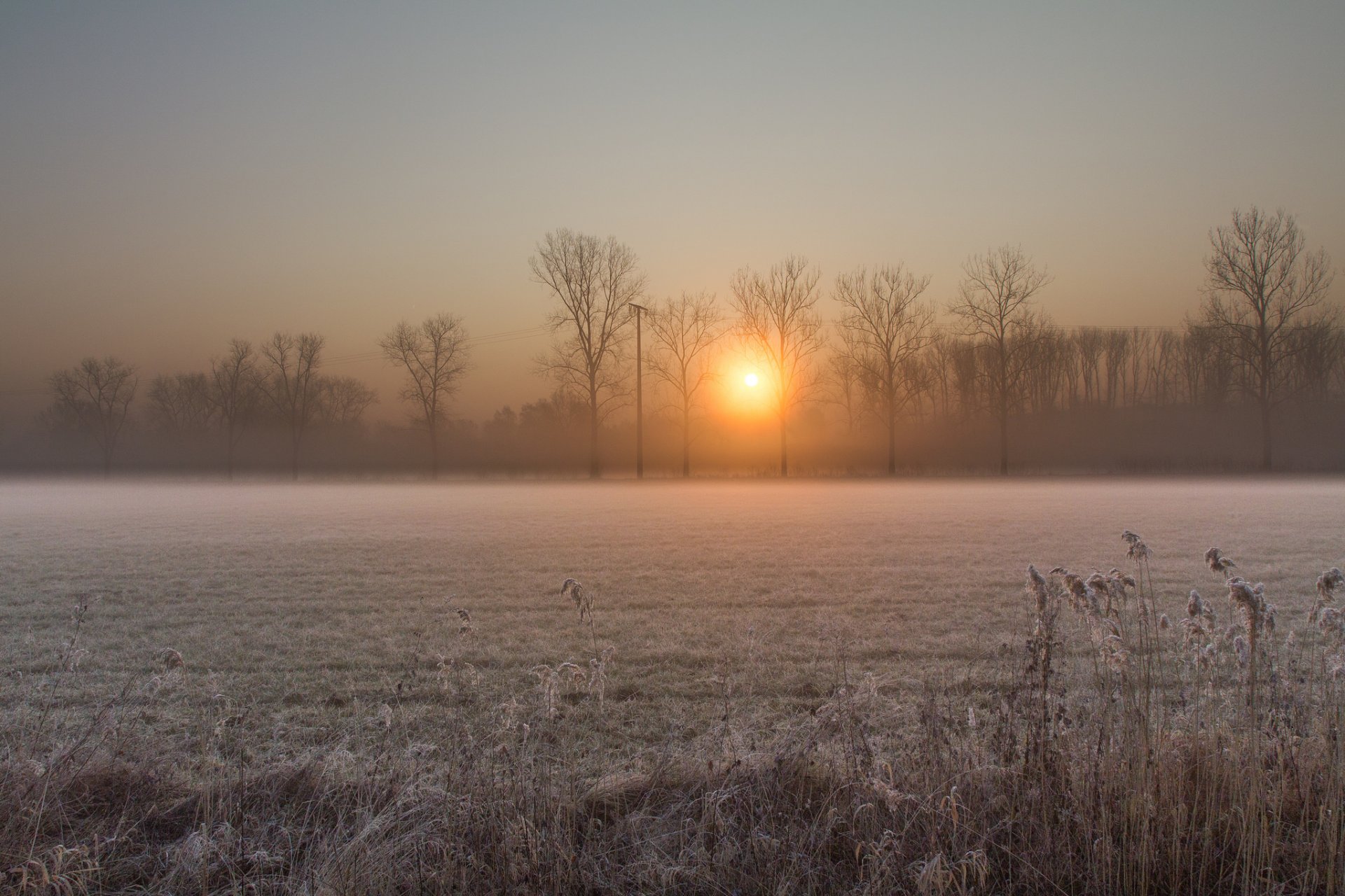 mañana amanecer sol amanecer invierno escarcha campo árboles