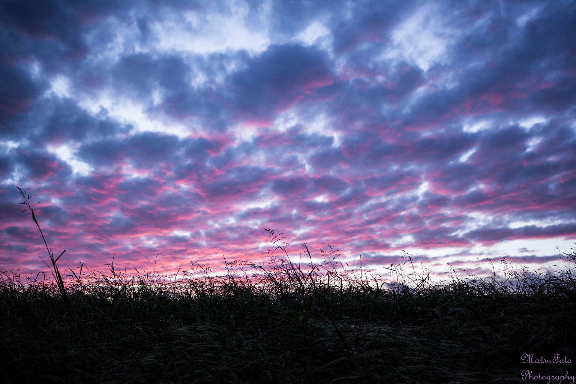 campo hierba tarde puesta de sol cielo nubes