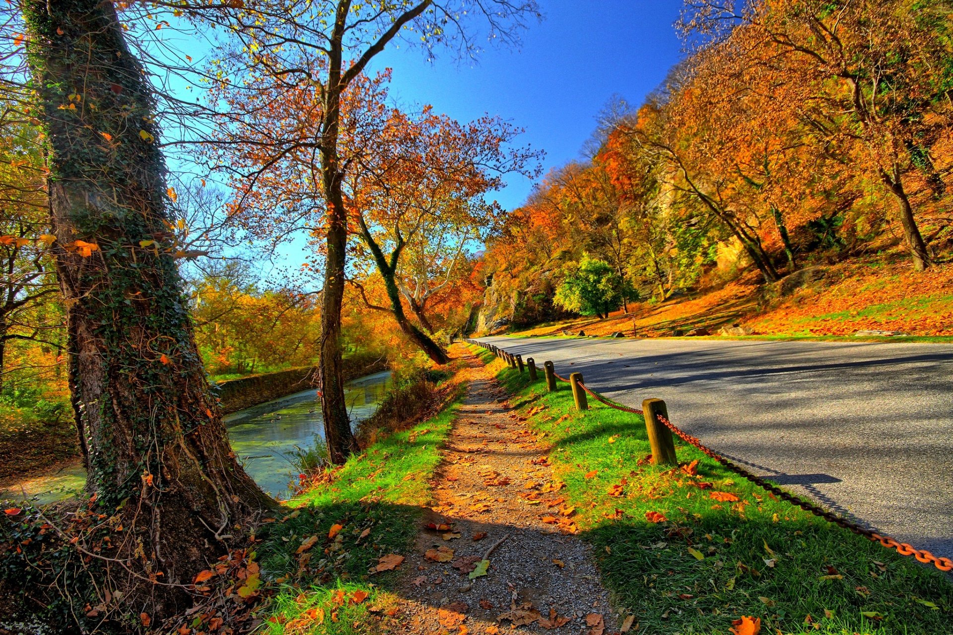 nature mountains sky water forest park trees leaves colorful road autumn fall colors walk