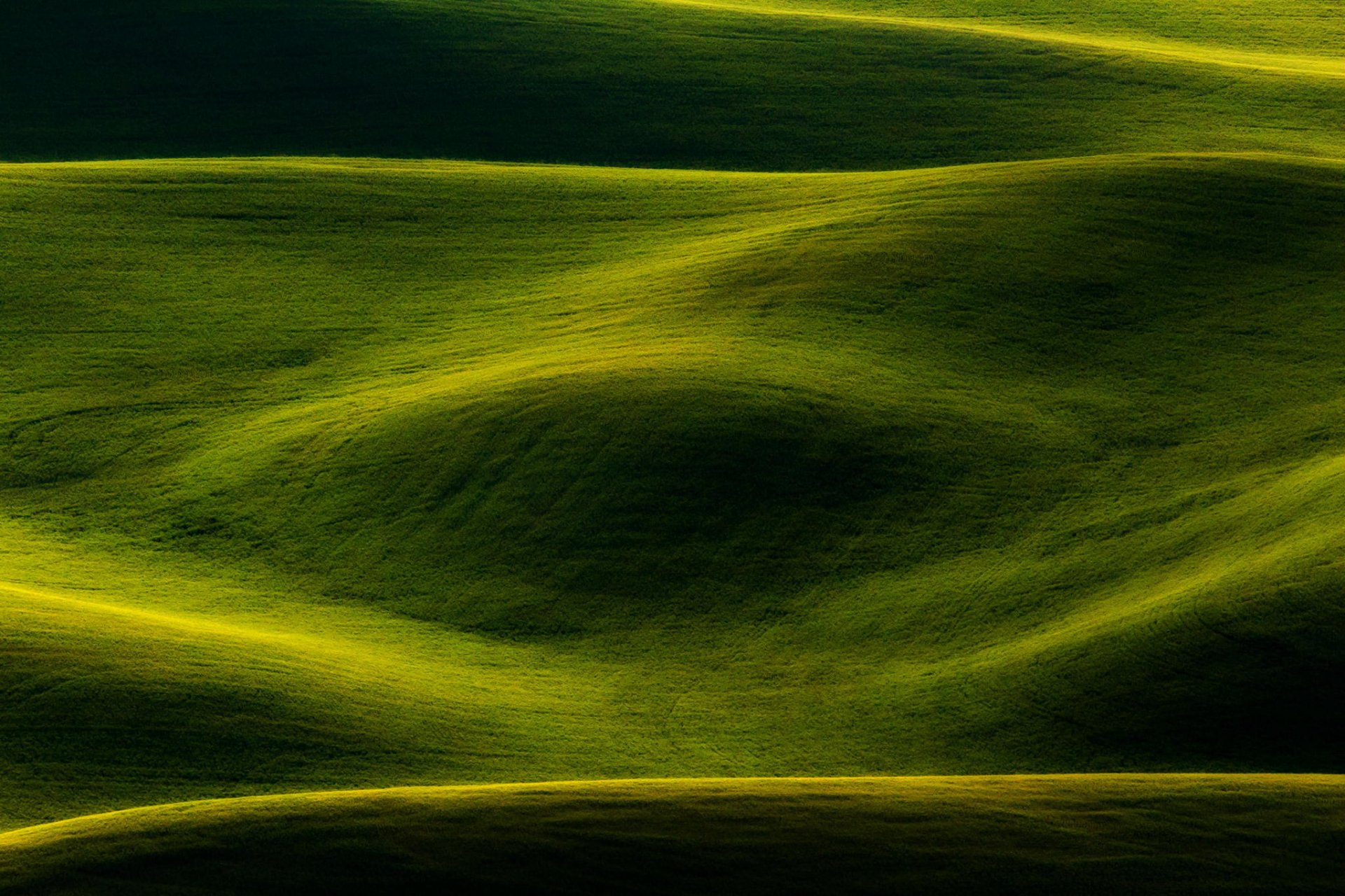 hintergrund grün natur feld