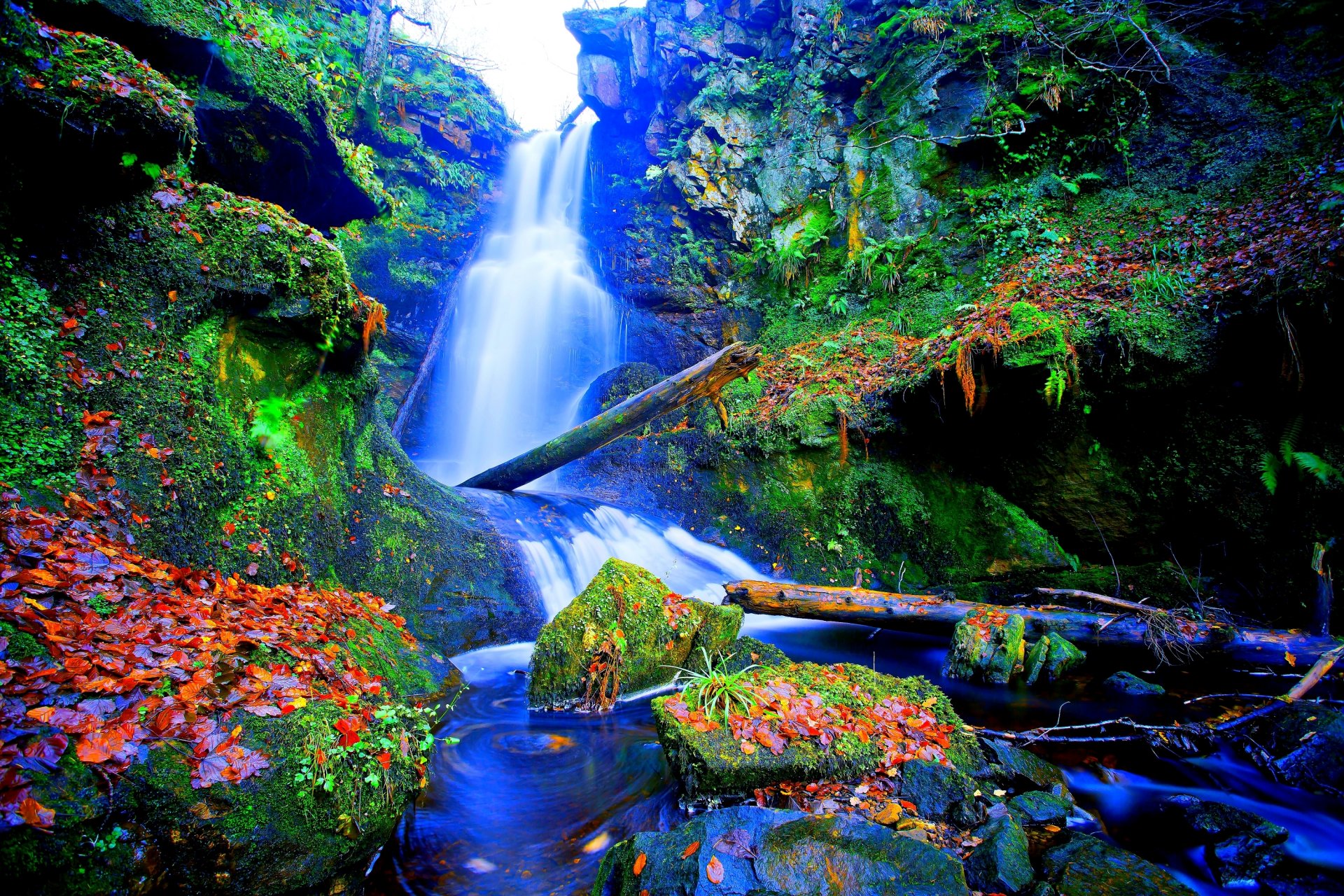 cascata pietre muschio piante foglie