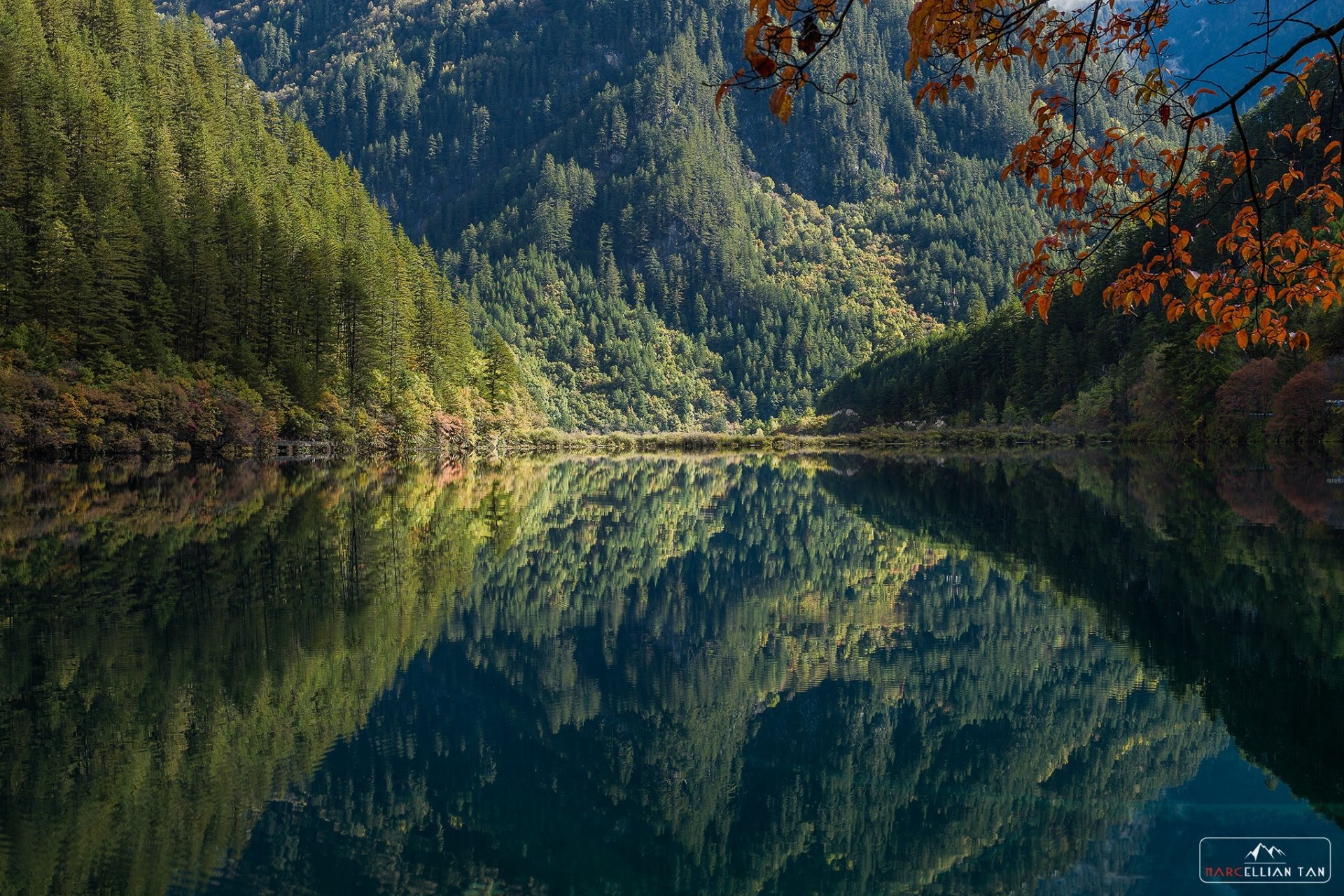 see berge wald bäume morgen reflexion