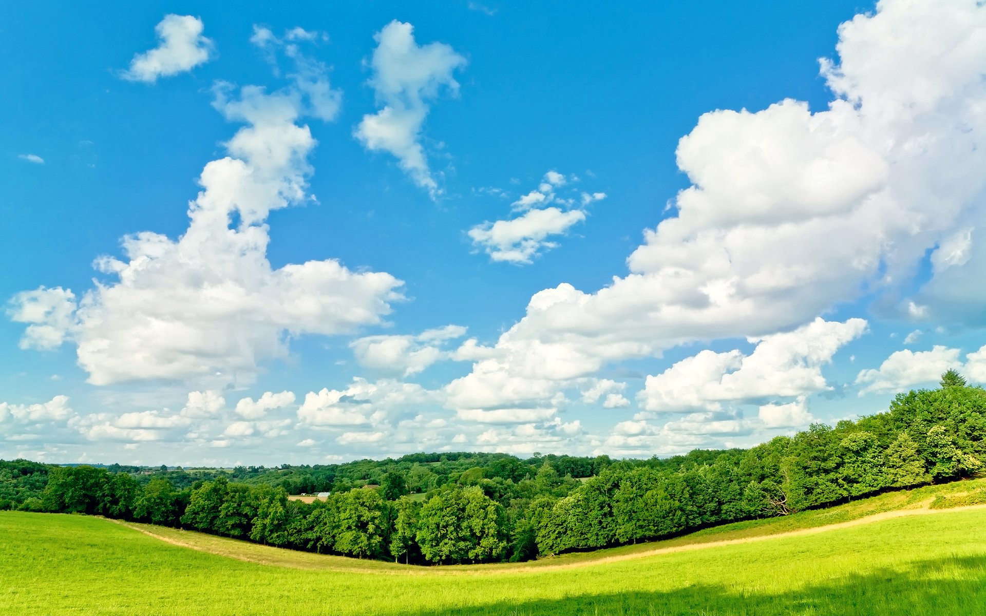 alberi erba cielo nuvole estate soleggiato