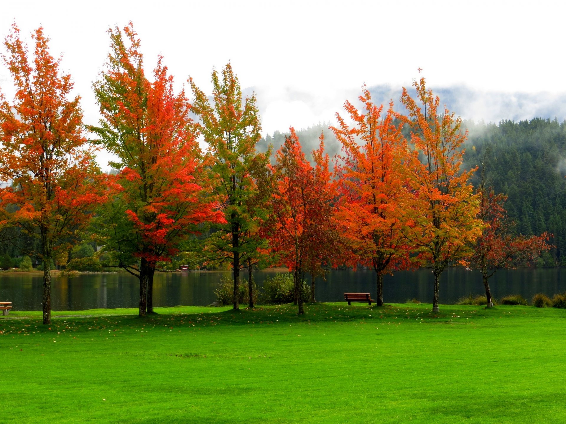 nature bench river water forest park trees leaves colorful autumn fall colors walk tree mountain sky