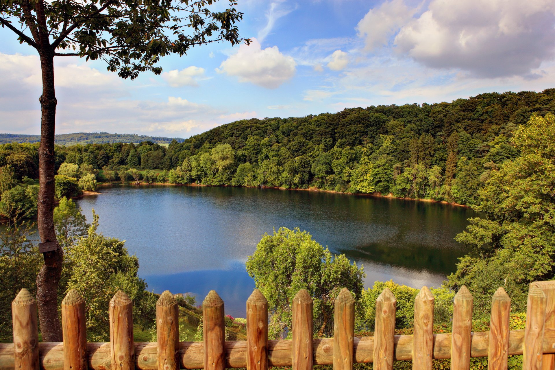 germany nature lake forest trees