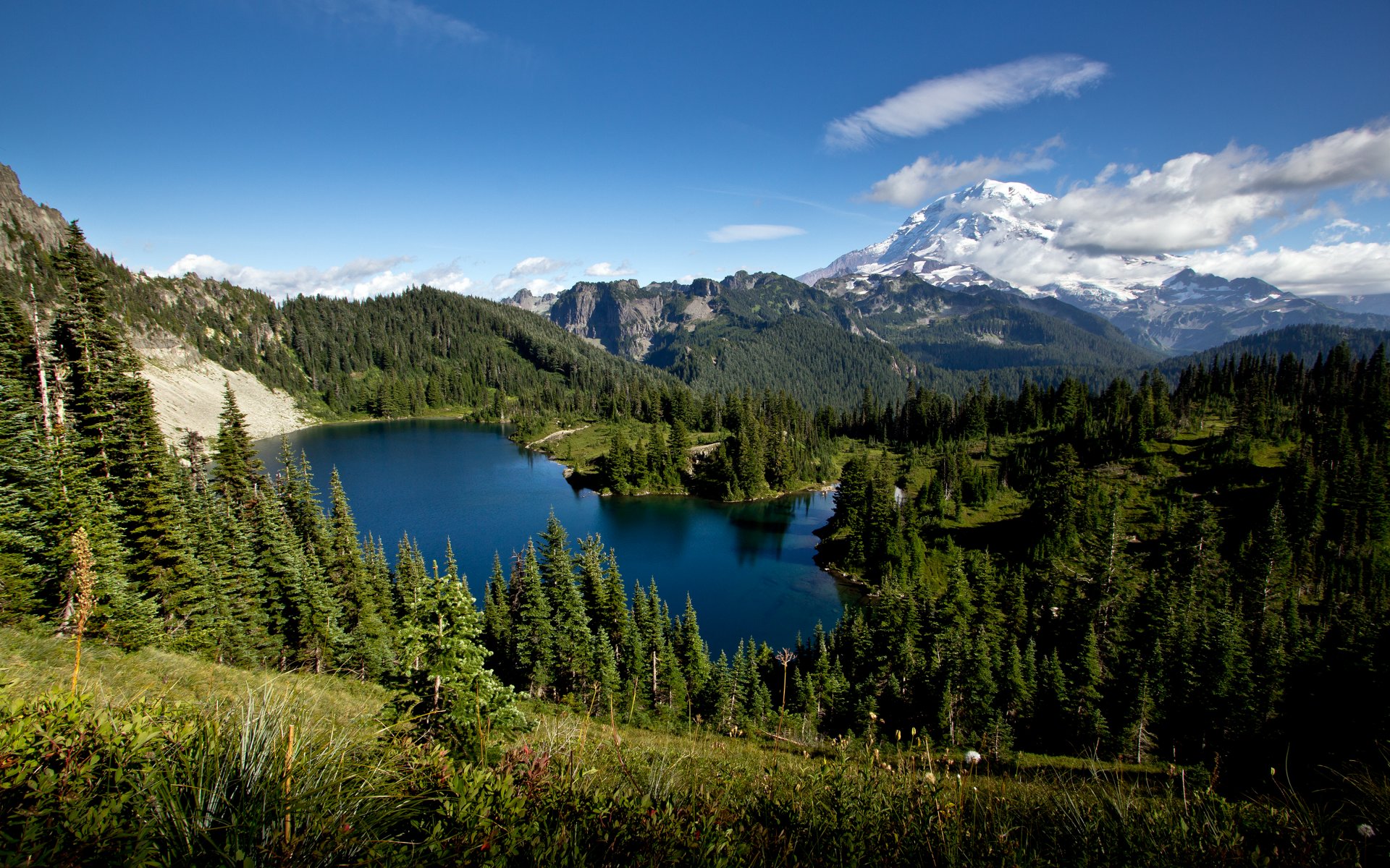 tolmie peak eunice lago montagna natura lago foresta