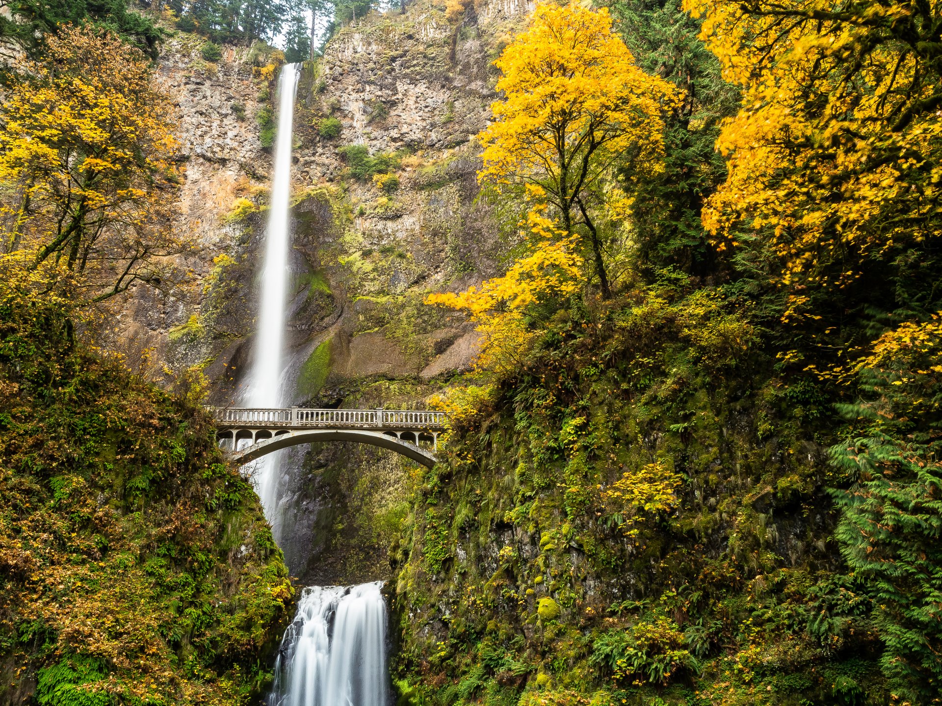 oregon united states waterfall river feed forest tree bridge autumn