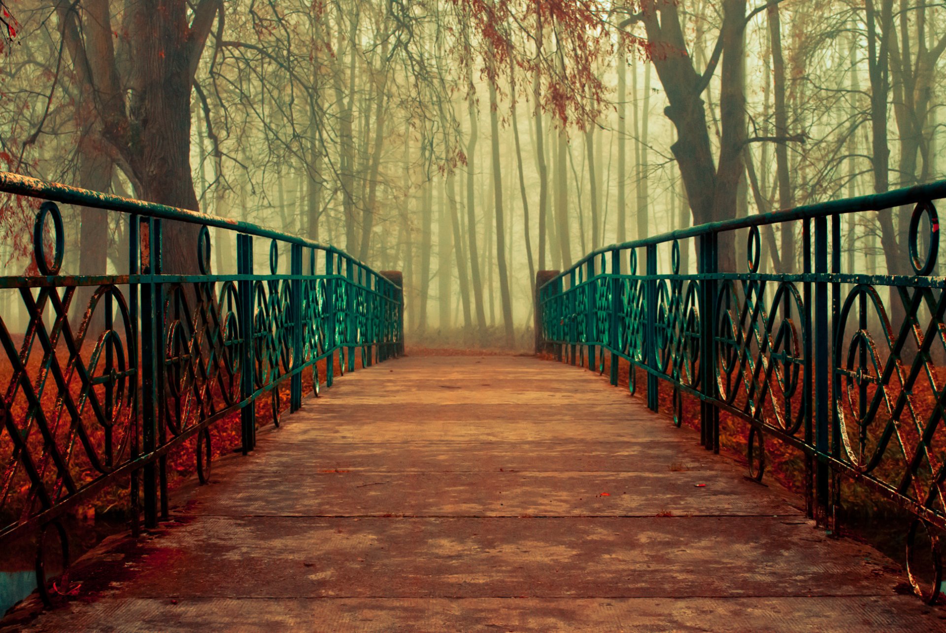 natura jesień drzewa liście most poręcze