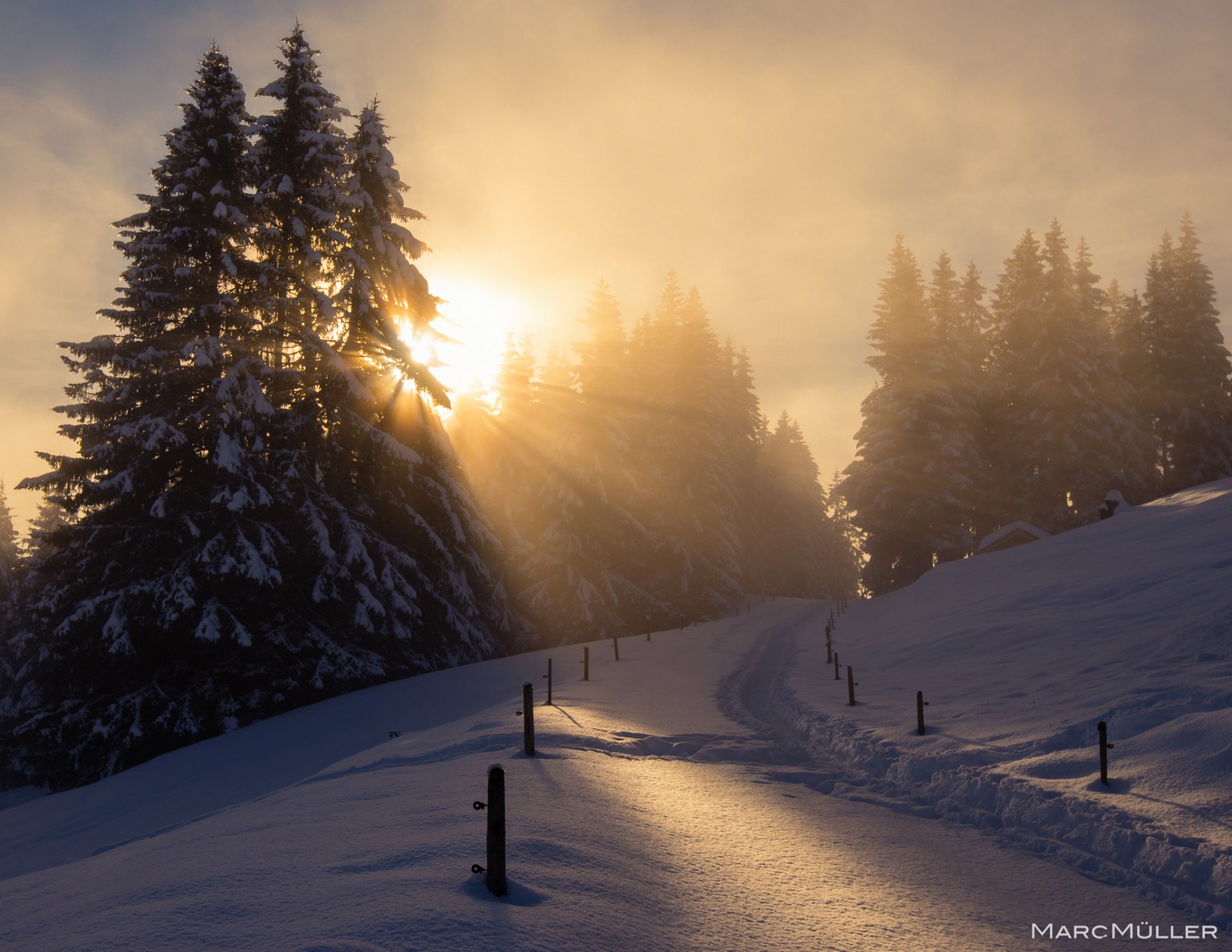 frankreich winter schnee sonne licht dezember