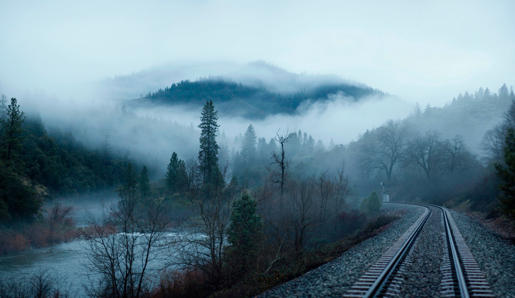 foresta mattina nebbia ferrovia