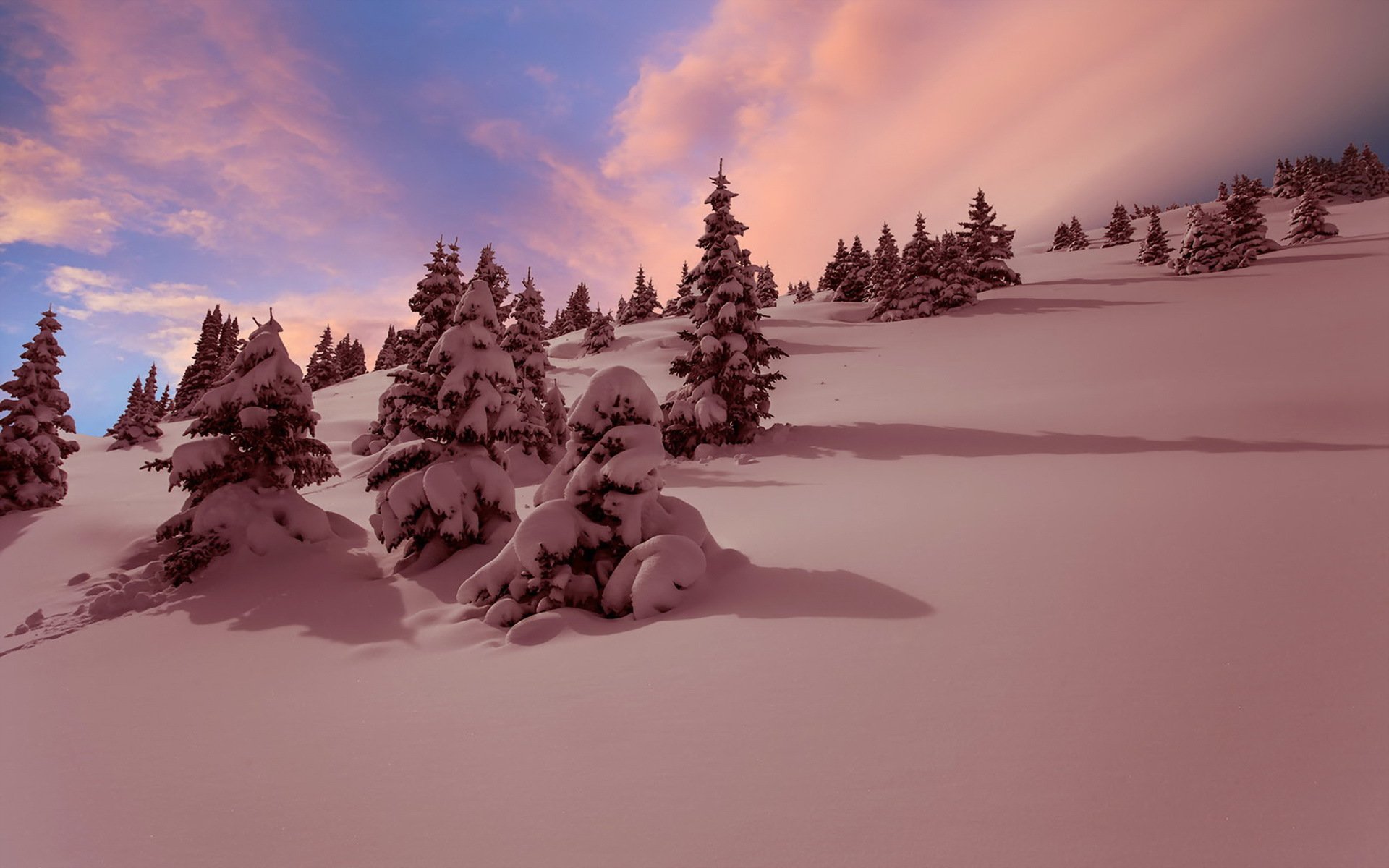 hiver neige coucher de soleil paysage