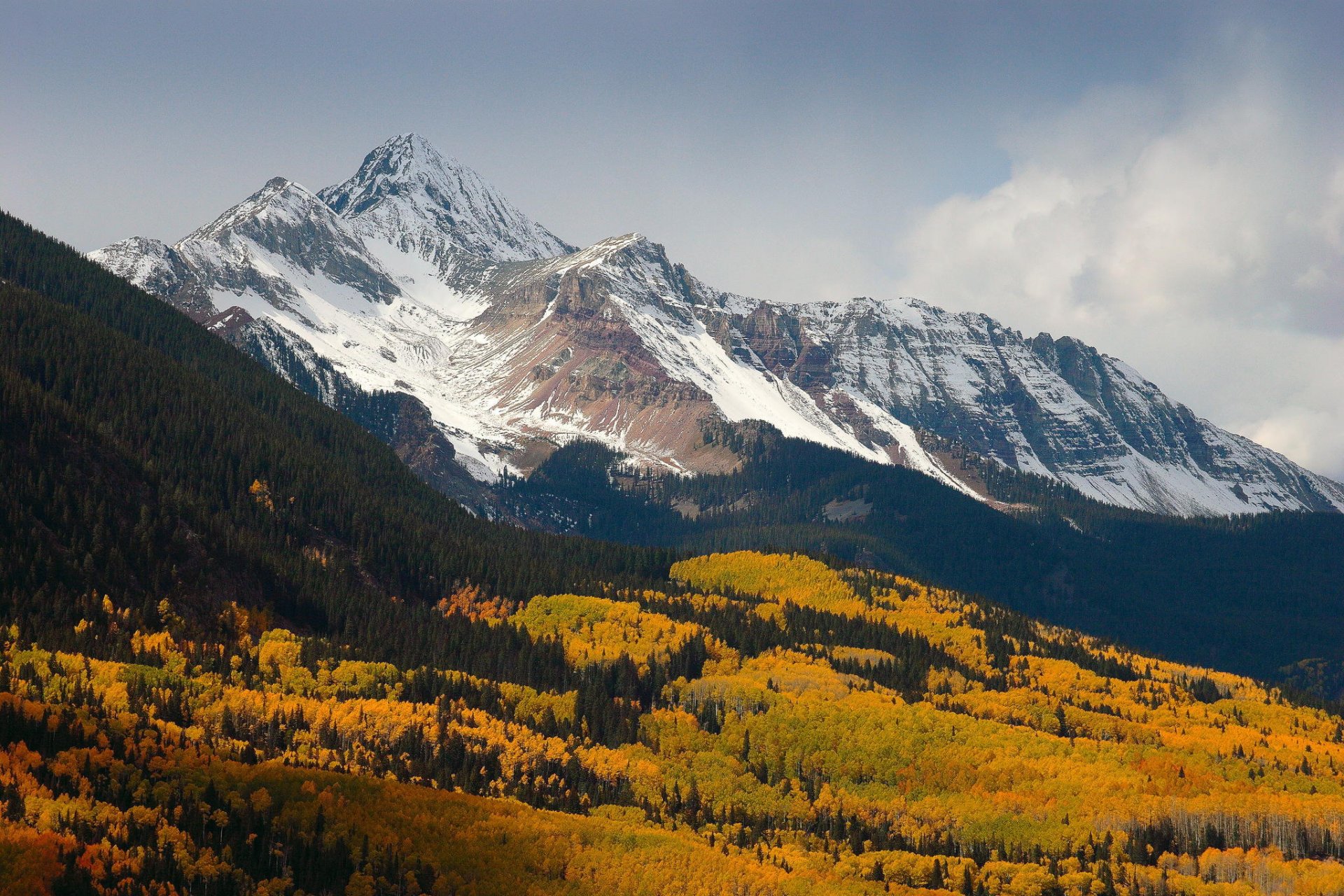 berge gipfel schnee wald bäume natur