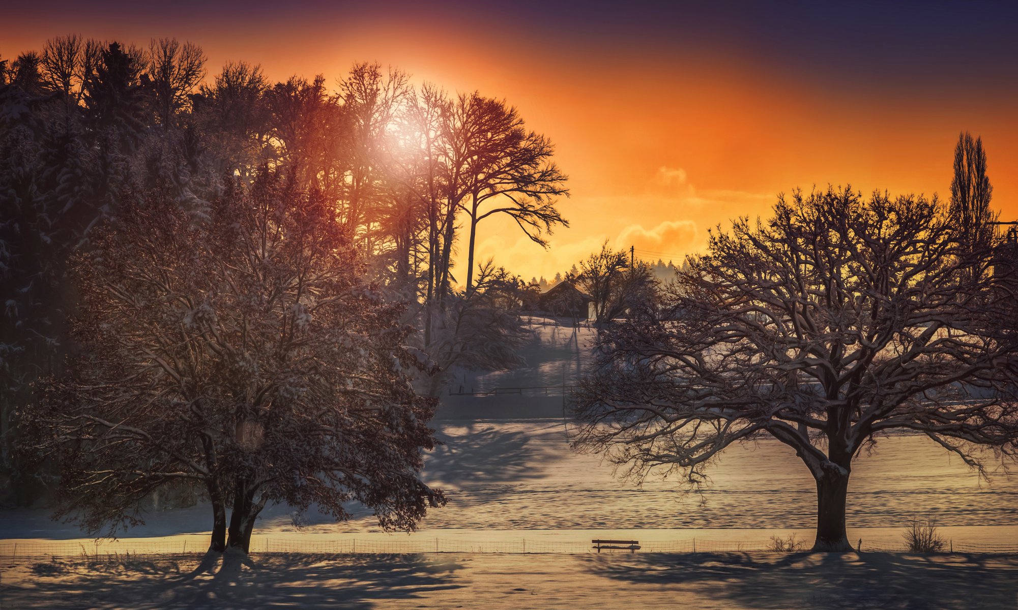 hiver soleil maisons arbres traitement