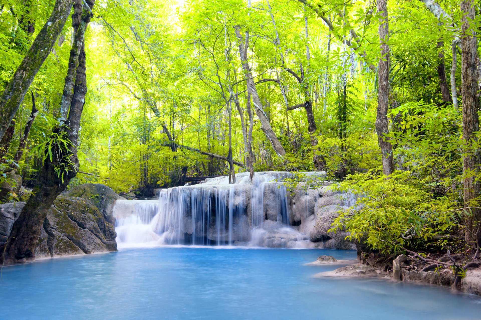 forest waterfall lake tree