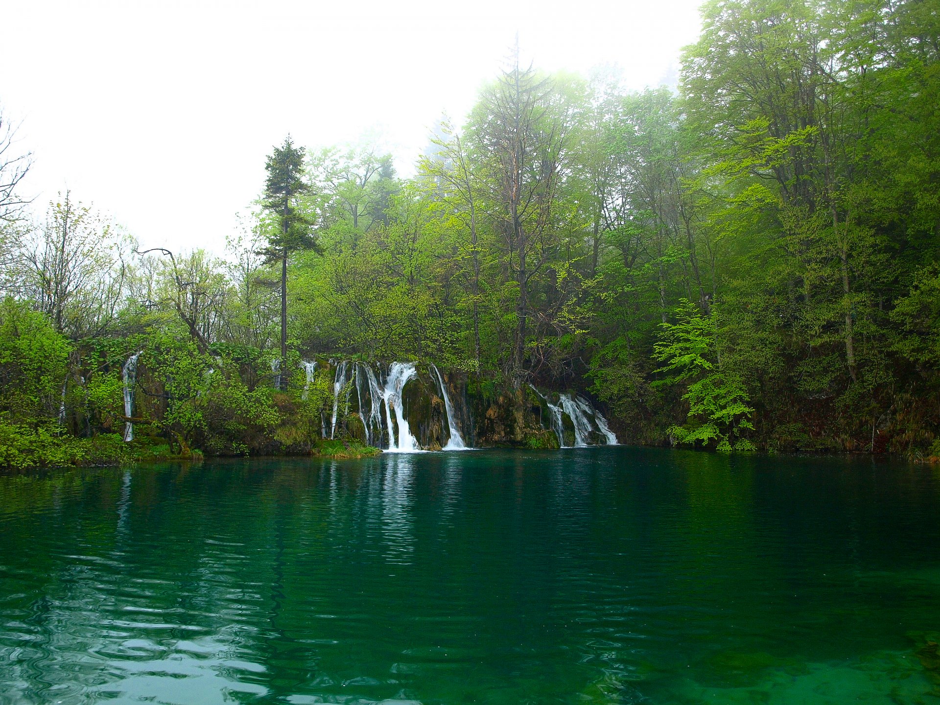 lago cascata. foresta alberi fogliame