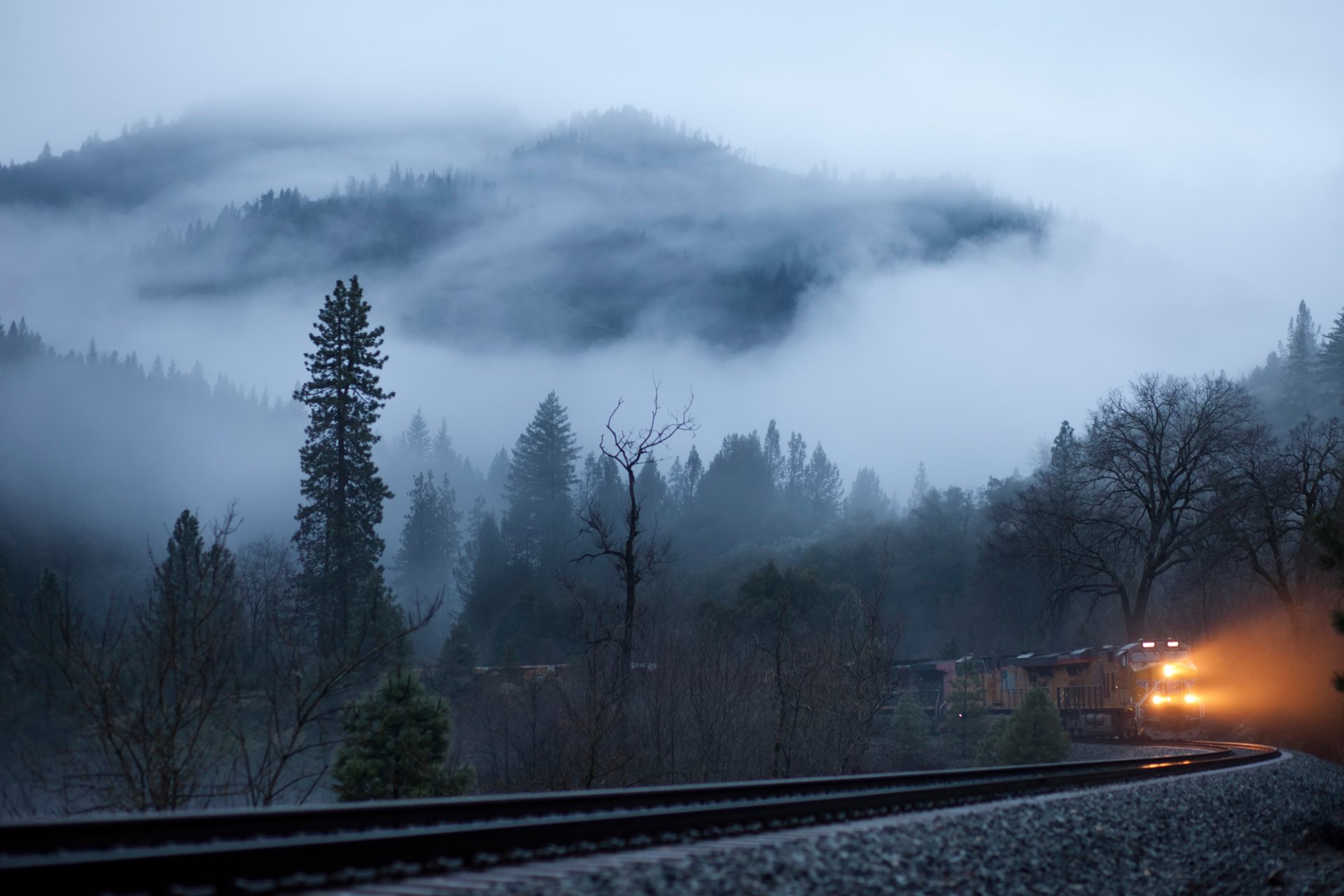 foresta nebbia mattina ferrovia.treno