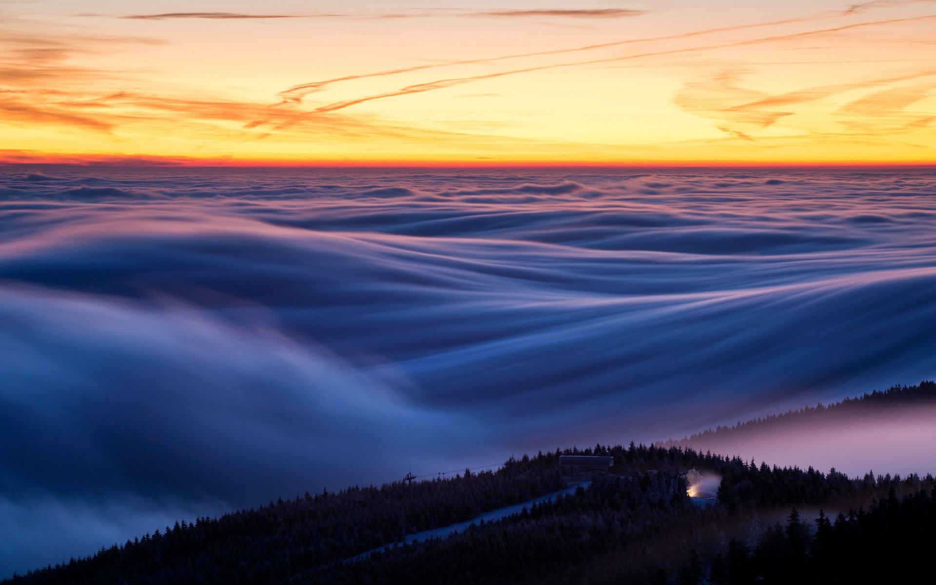 himmel horizont wald beleuchtung