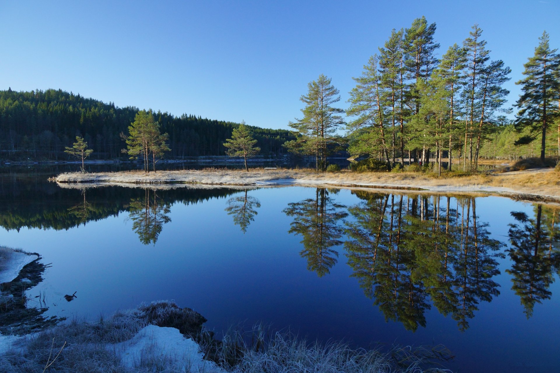 ciel forêt rivière arbres pins réflexion paysage