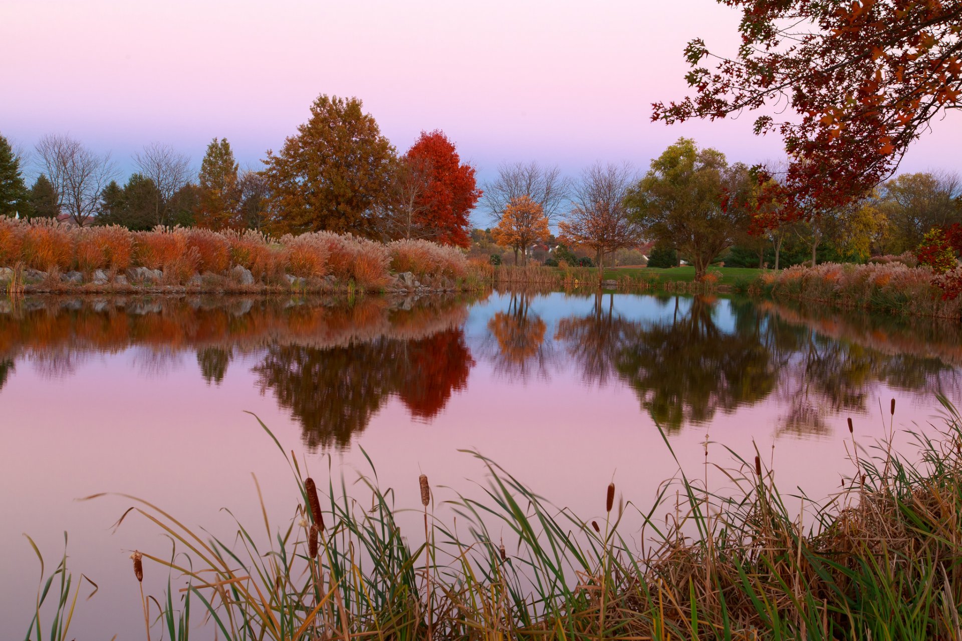 himmel bäume gras teich herbst