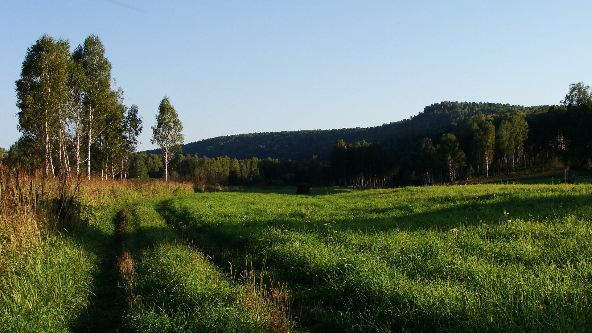 road hills summer grass forest