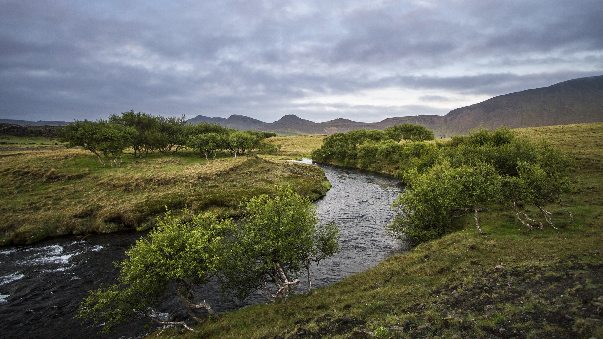 süd-island næfurholt hügel fluss bäume sommer