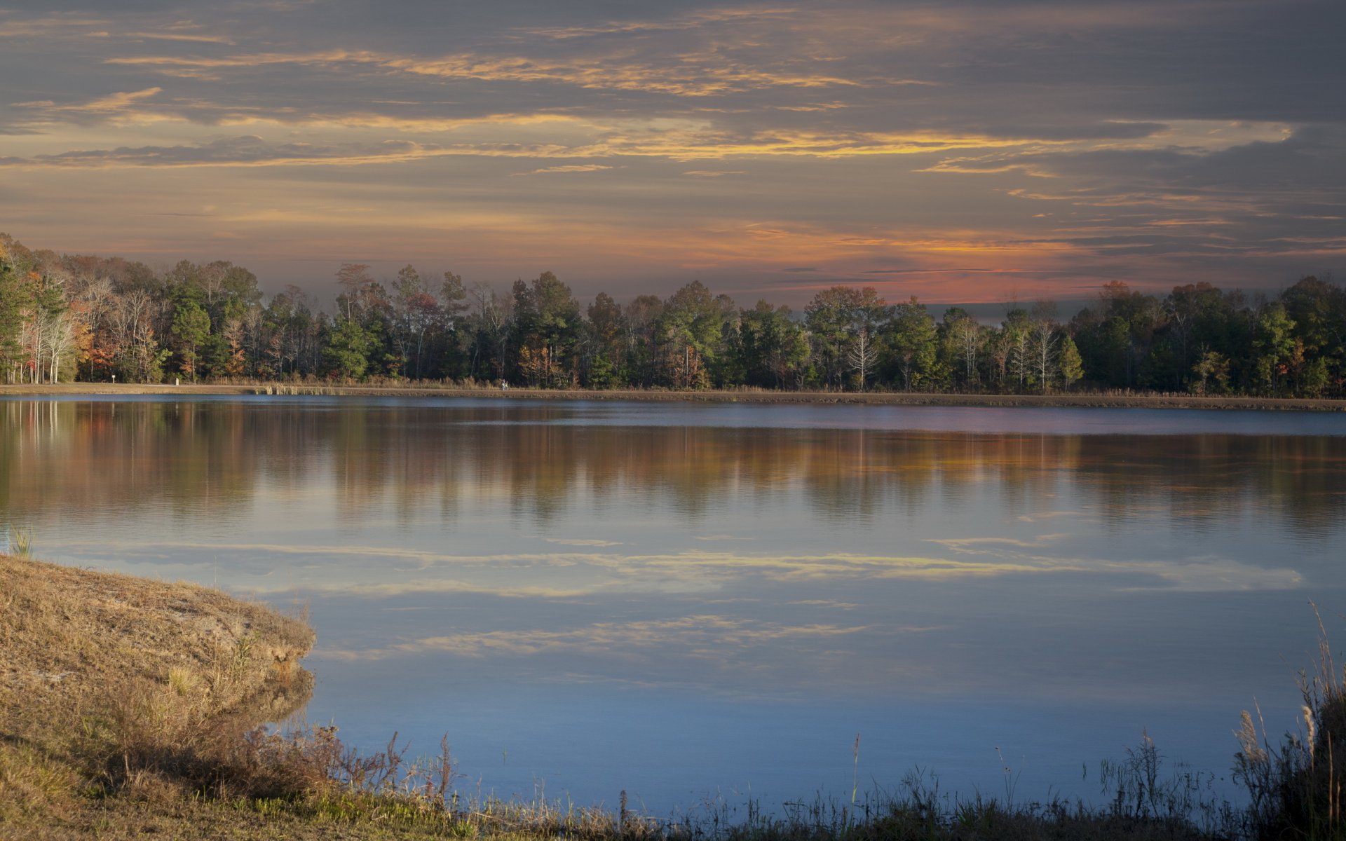 foresta lago sera autunno