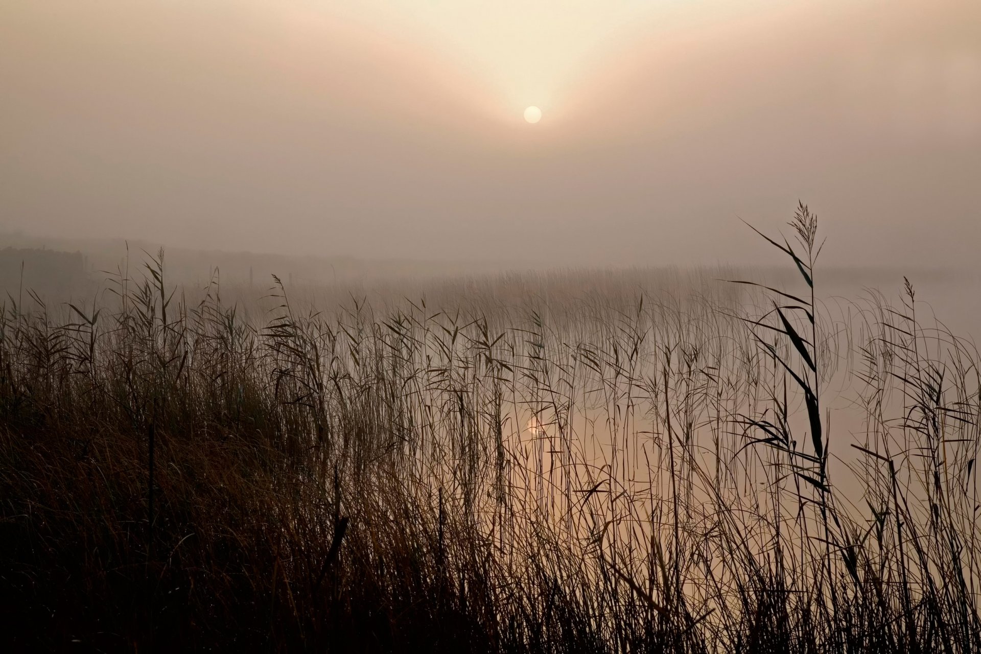 lac brouillard brume