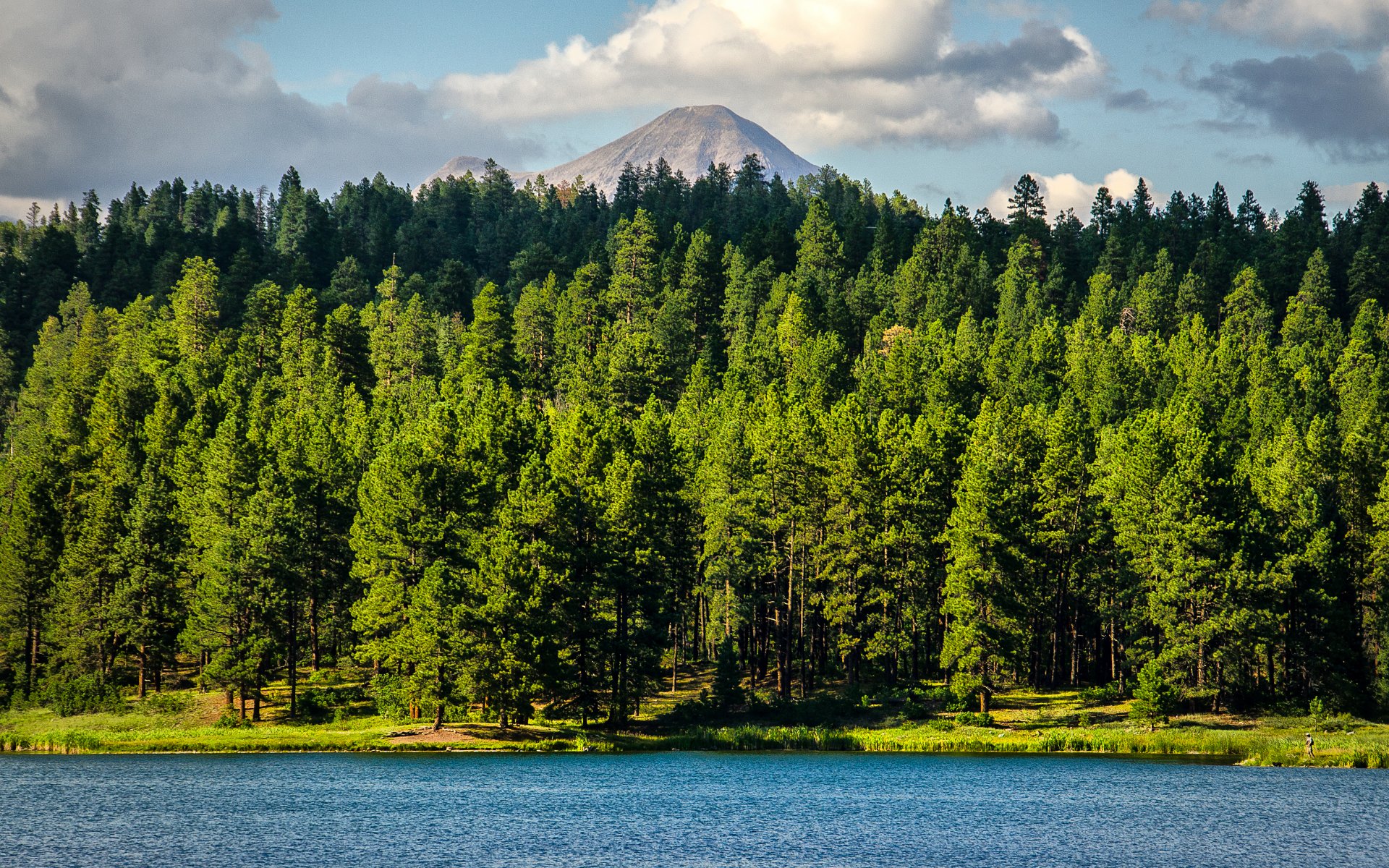 árboles bosque lago montaña colorado