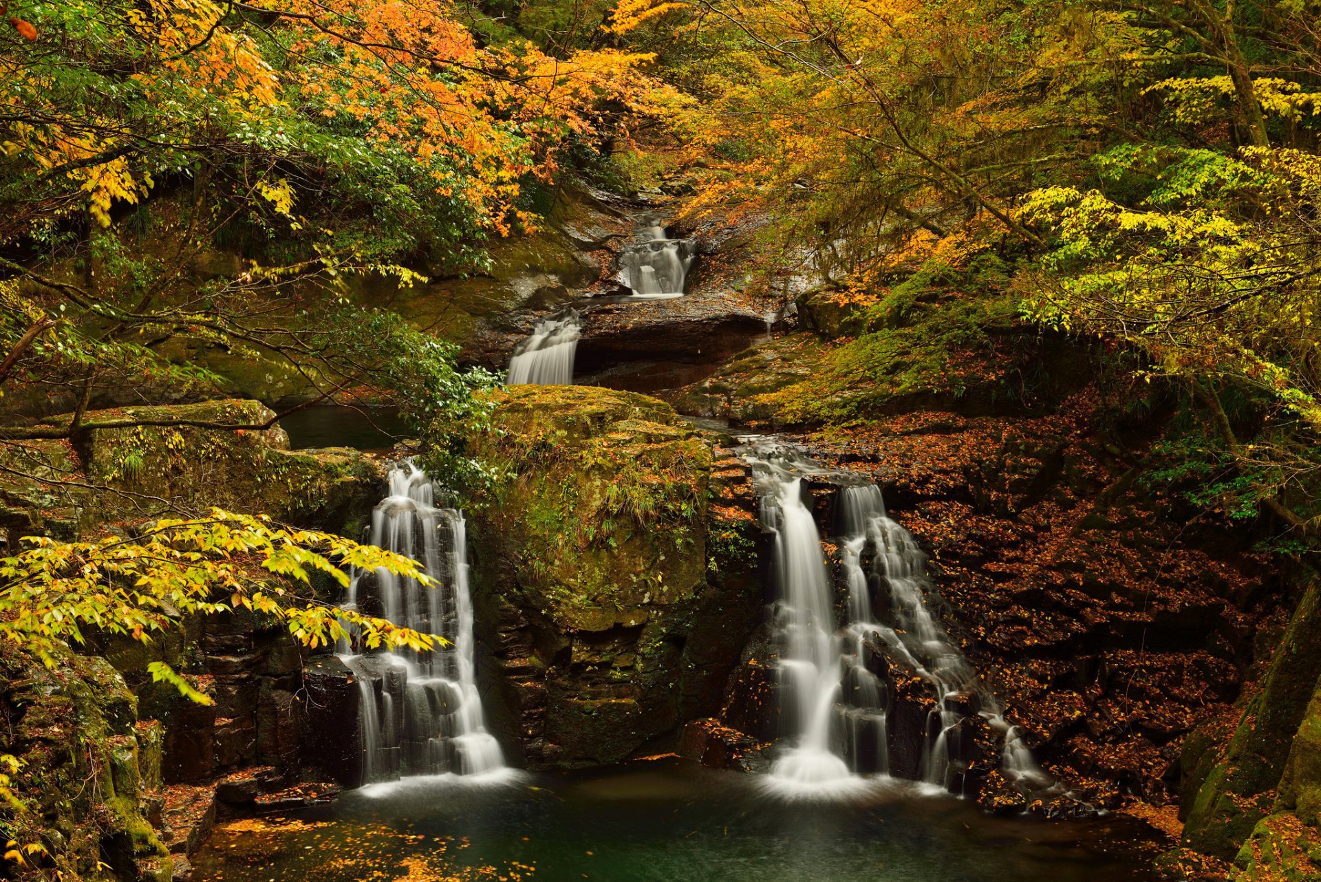 bosque árboles rocas otoño arroyo corriente cascada