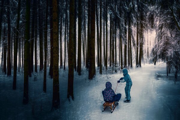 Jeux d enfants dans la forêt d hiver