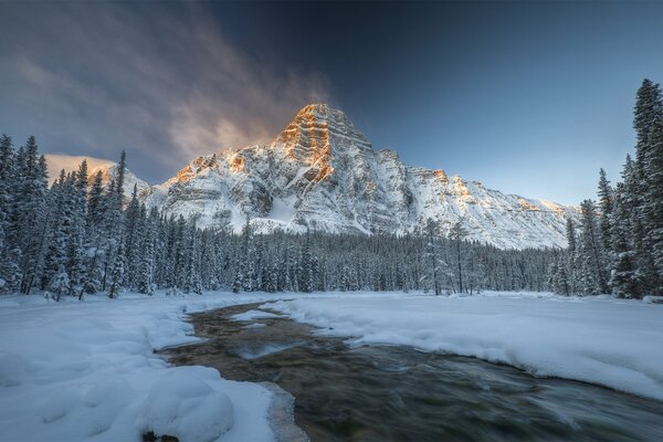 A mountain river flows around a snow-covered forest past huge mountains