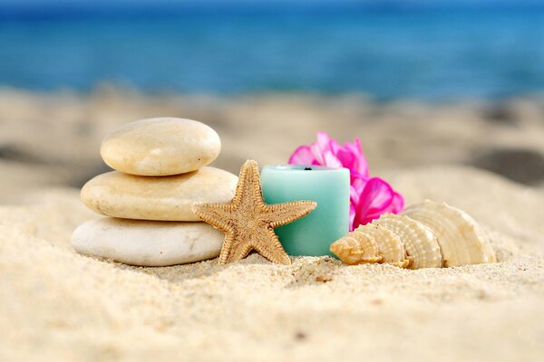 Shells, candles on the sand