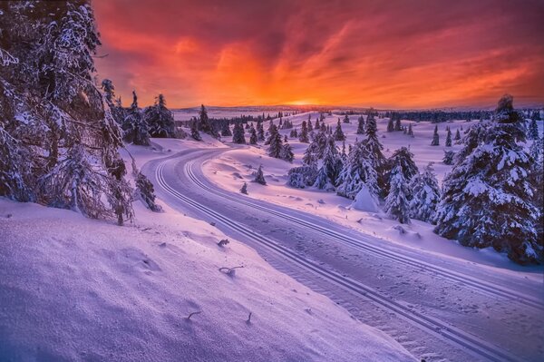 Красивая зима это Норвегия, дорога представляет собой санный путь