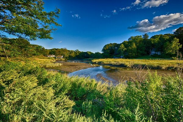 Schöne Landschaft in New York. Grünes Gras, ein mysteriöser Fluss